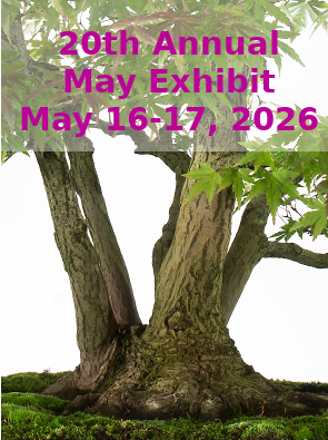 One Week Away! 20th Annual Spring Bonsai Exhibit May 16 and 17