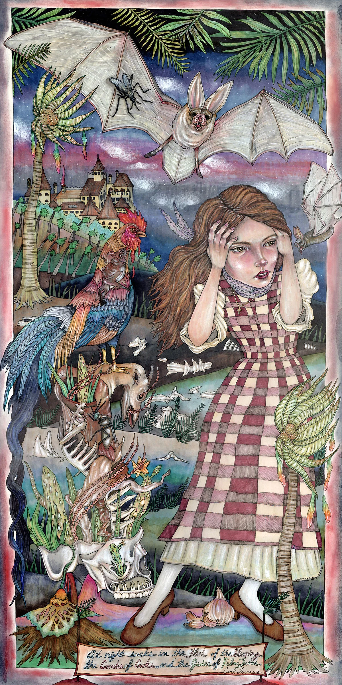 Vespertilio Vampyrus (as named by Linneaus), Pen and Marker on Paper, 18" x 36", 2014