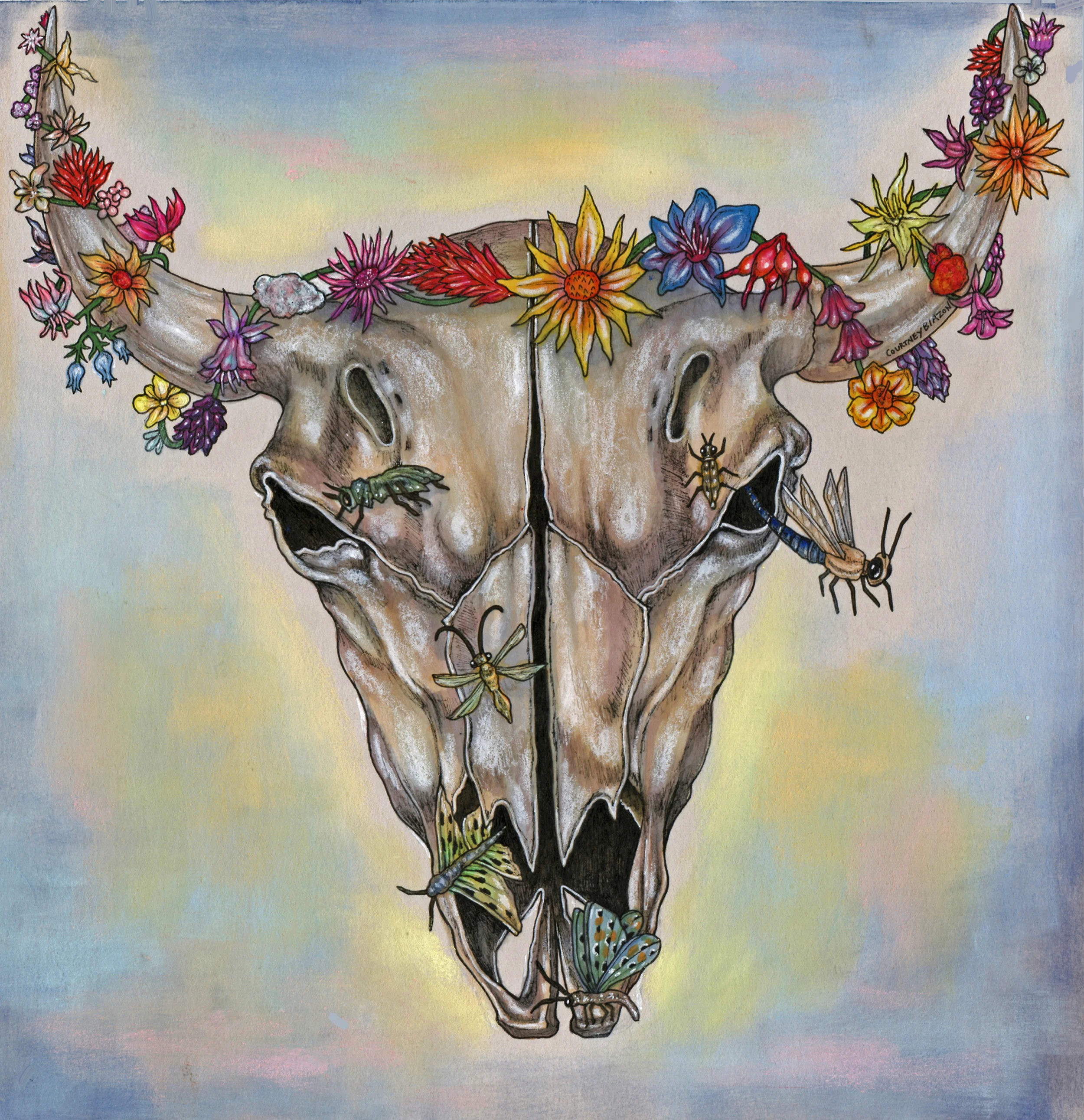 Bison Skull.jpg