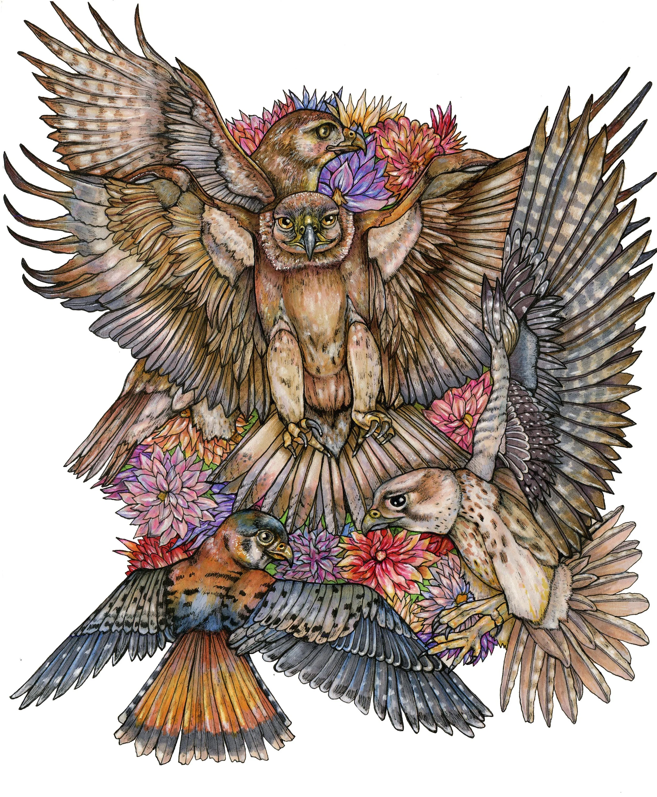 Raptor Tattoo.jpg