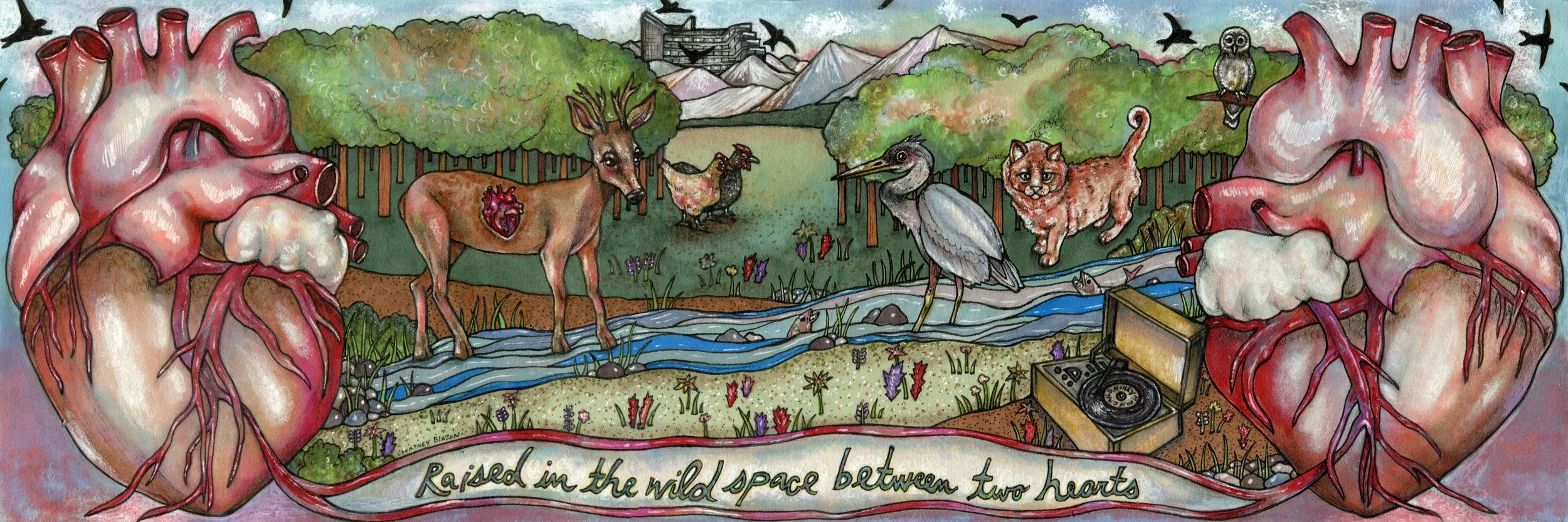 Wild Space