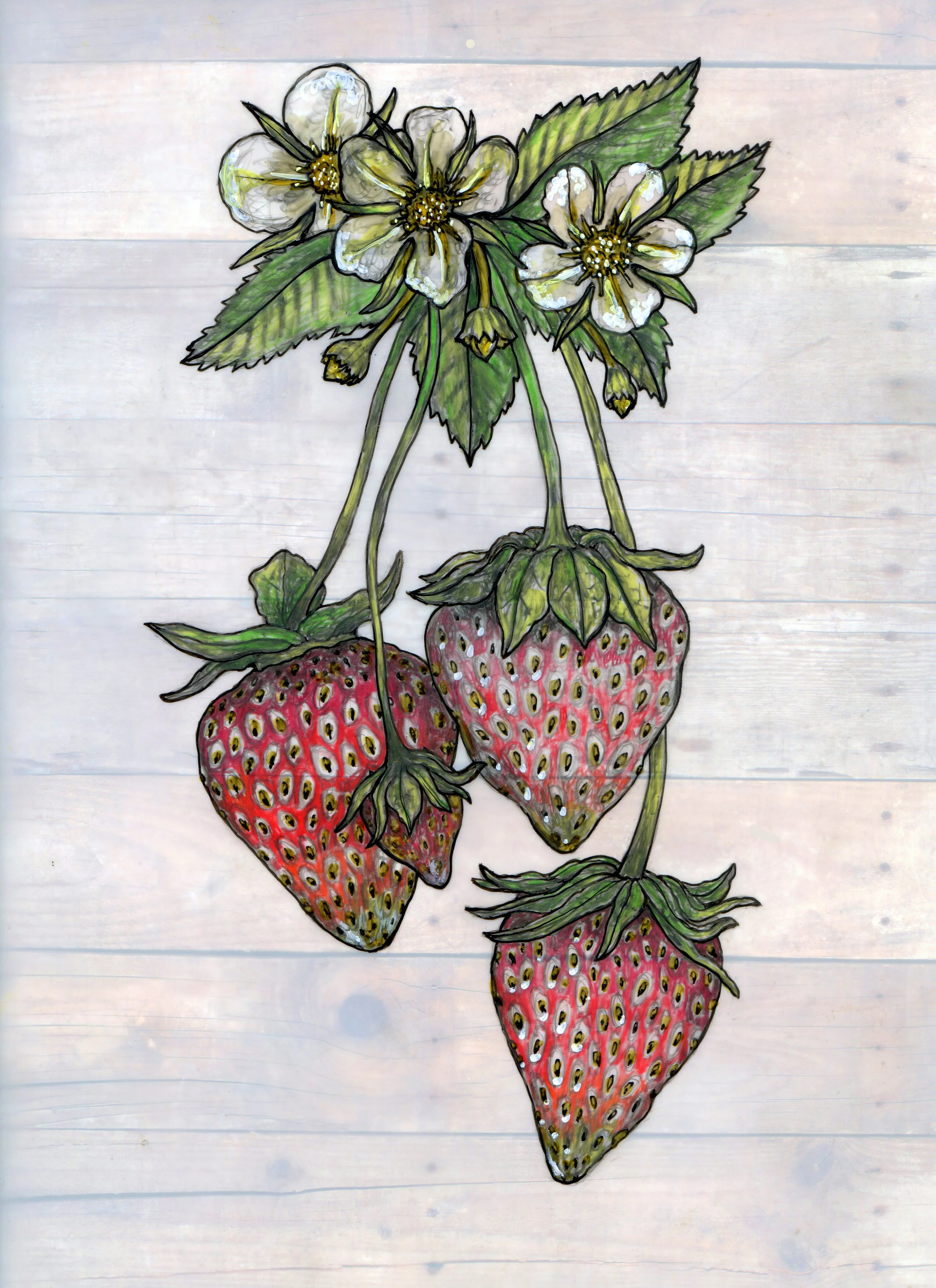 Strawberries