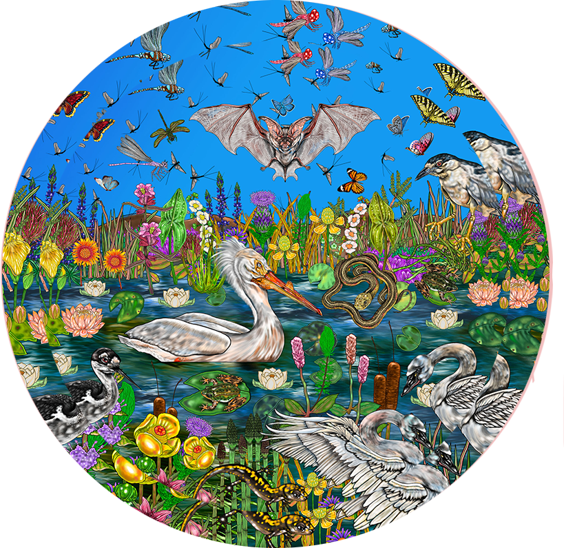 Marshland.png