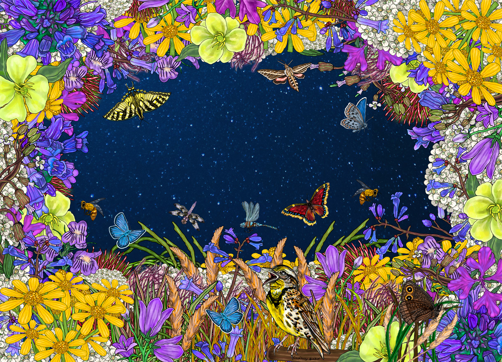 Starry Night.png