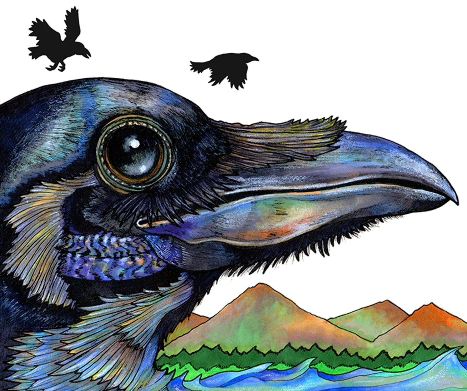 Raven.jpg