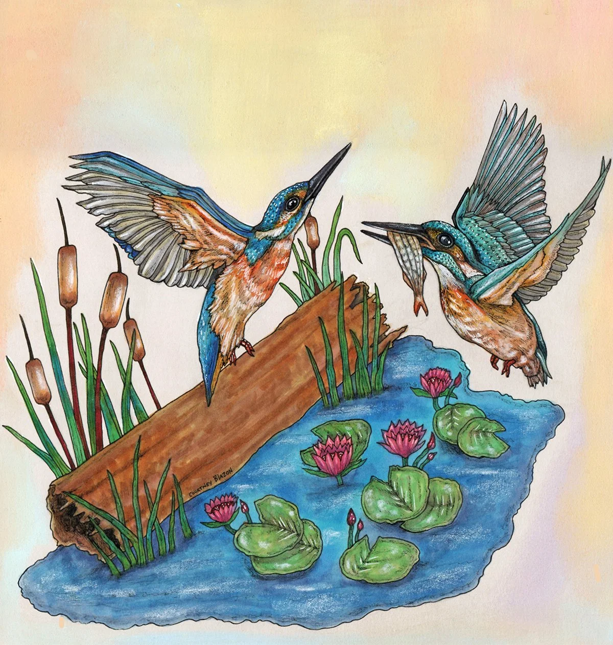 Kingfishers in Flight.jpg