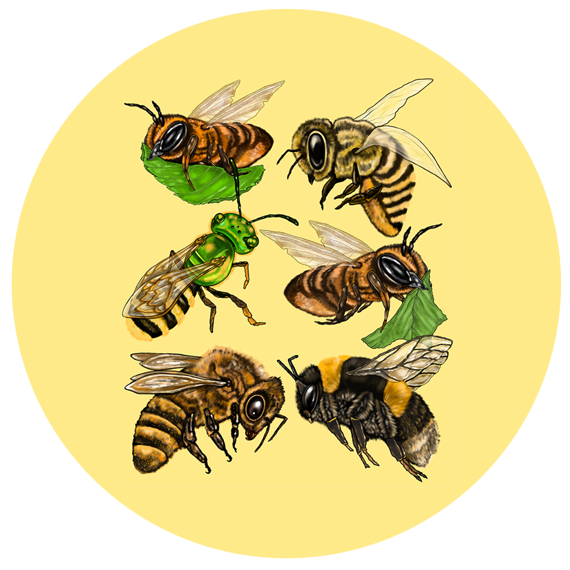 Bees.png