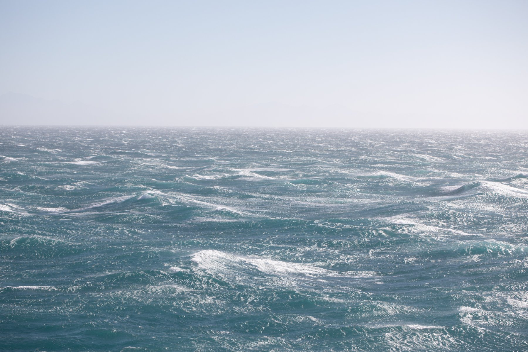 Cook strait