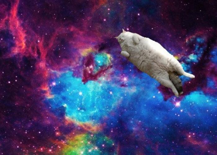 space-cat-wallpaper-2.jpg