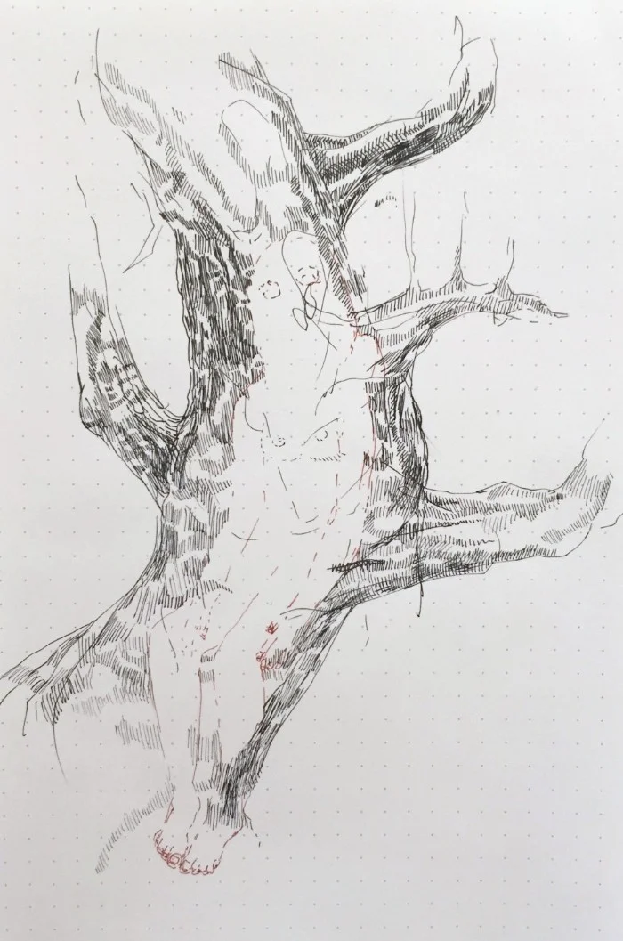 Pr.drawing.007.JPG