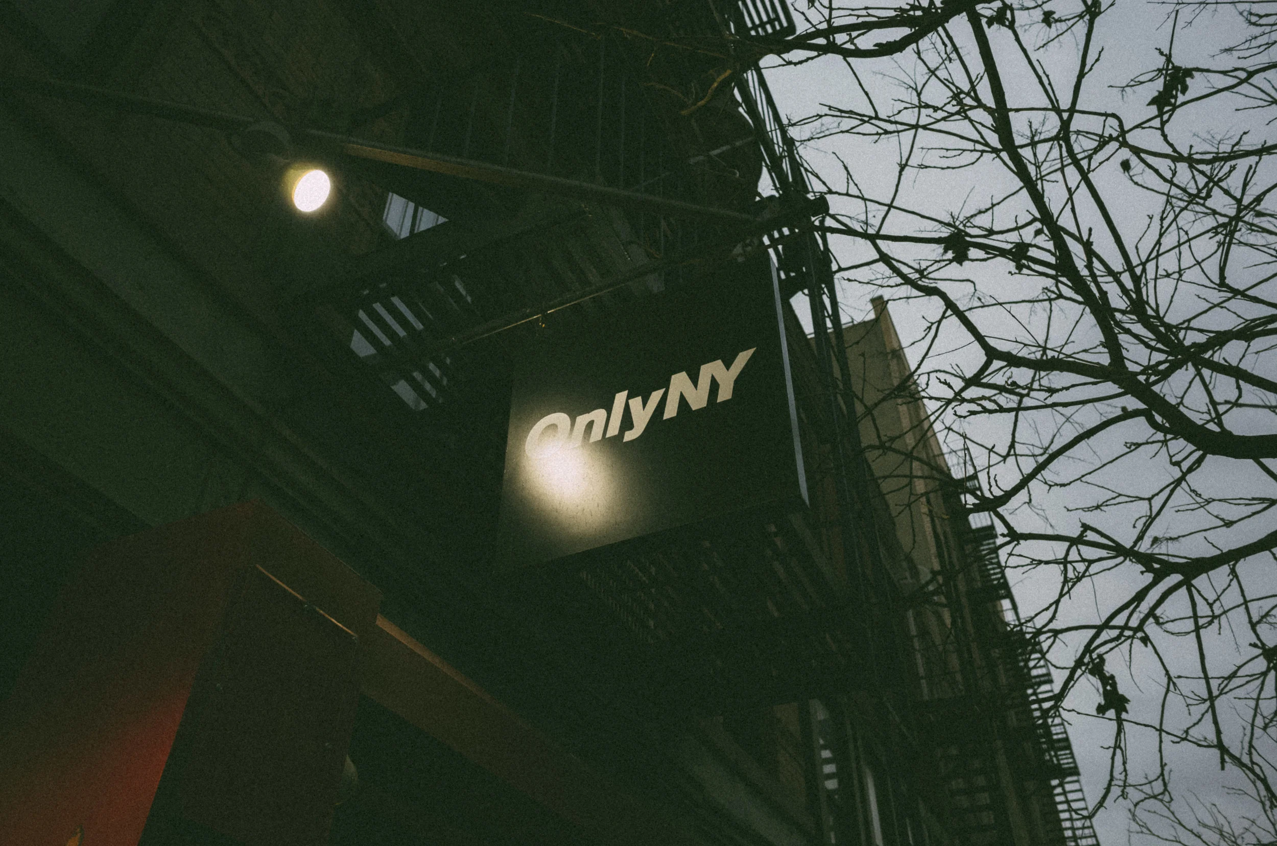 K0000041.jpg
