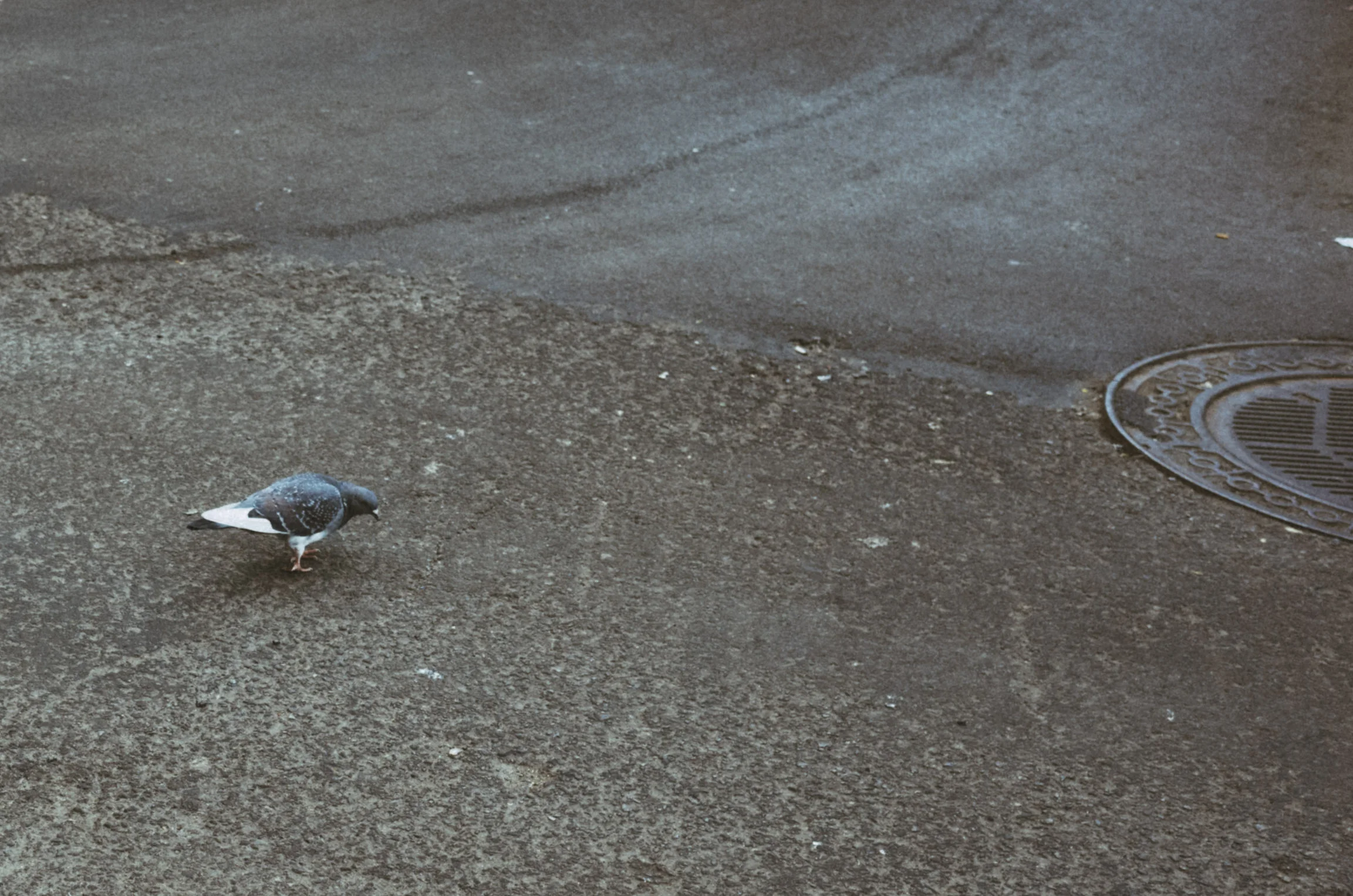 K0000268.jpg