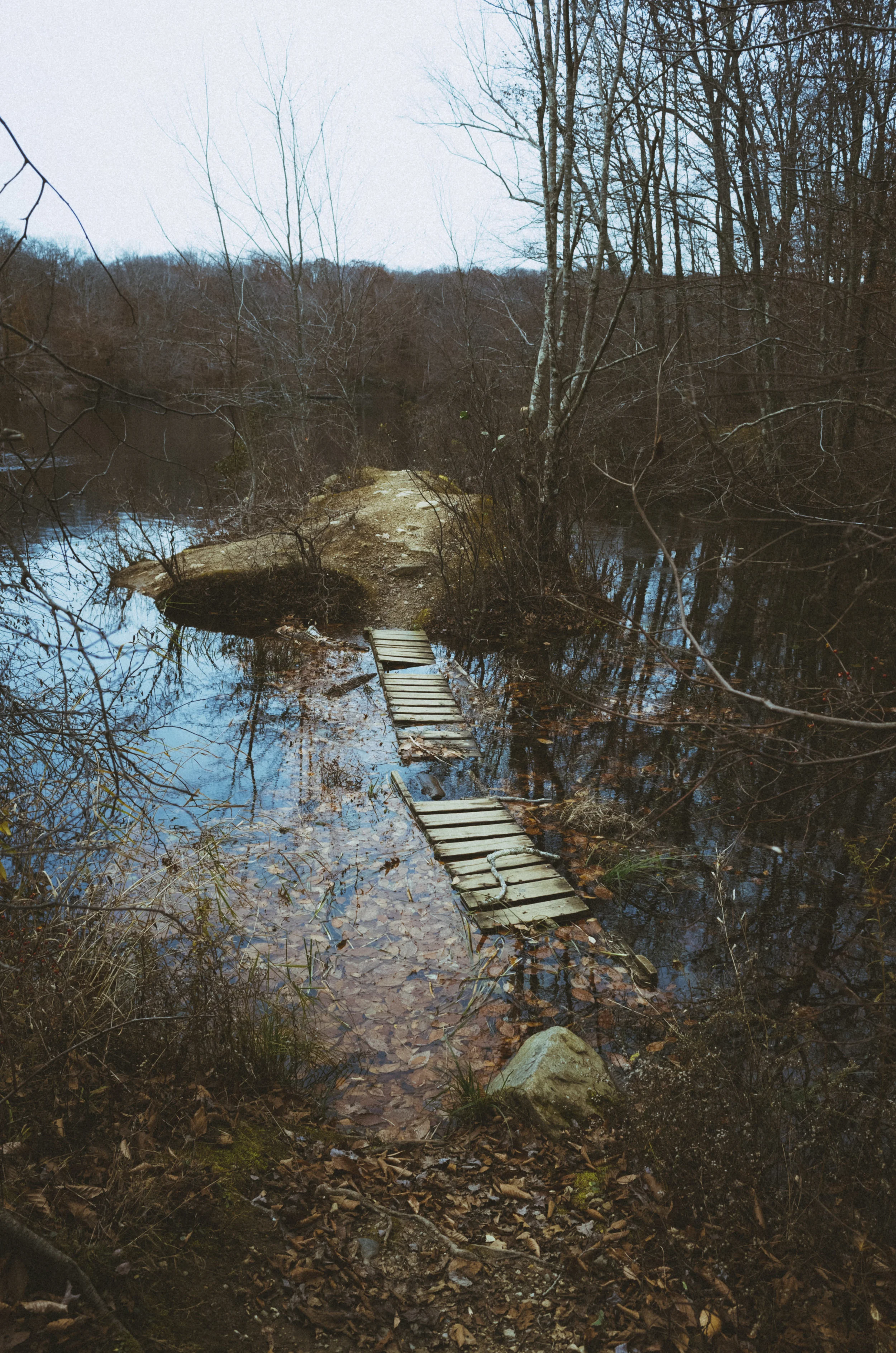 K0000030.jpg