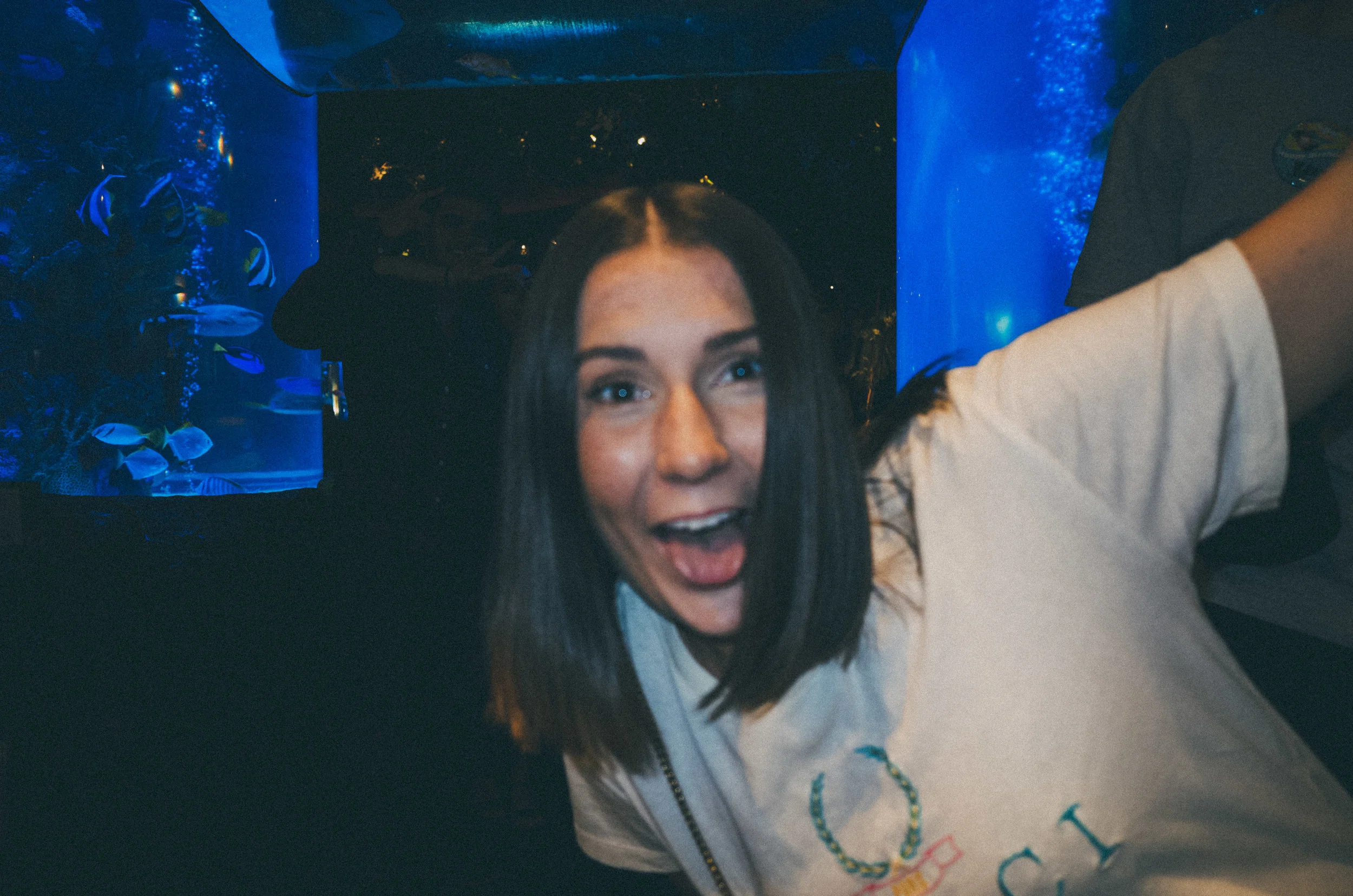 K0010020.jpg