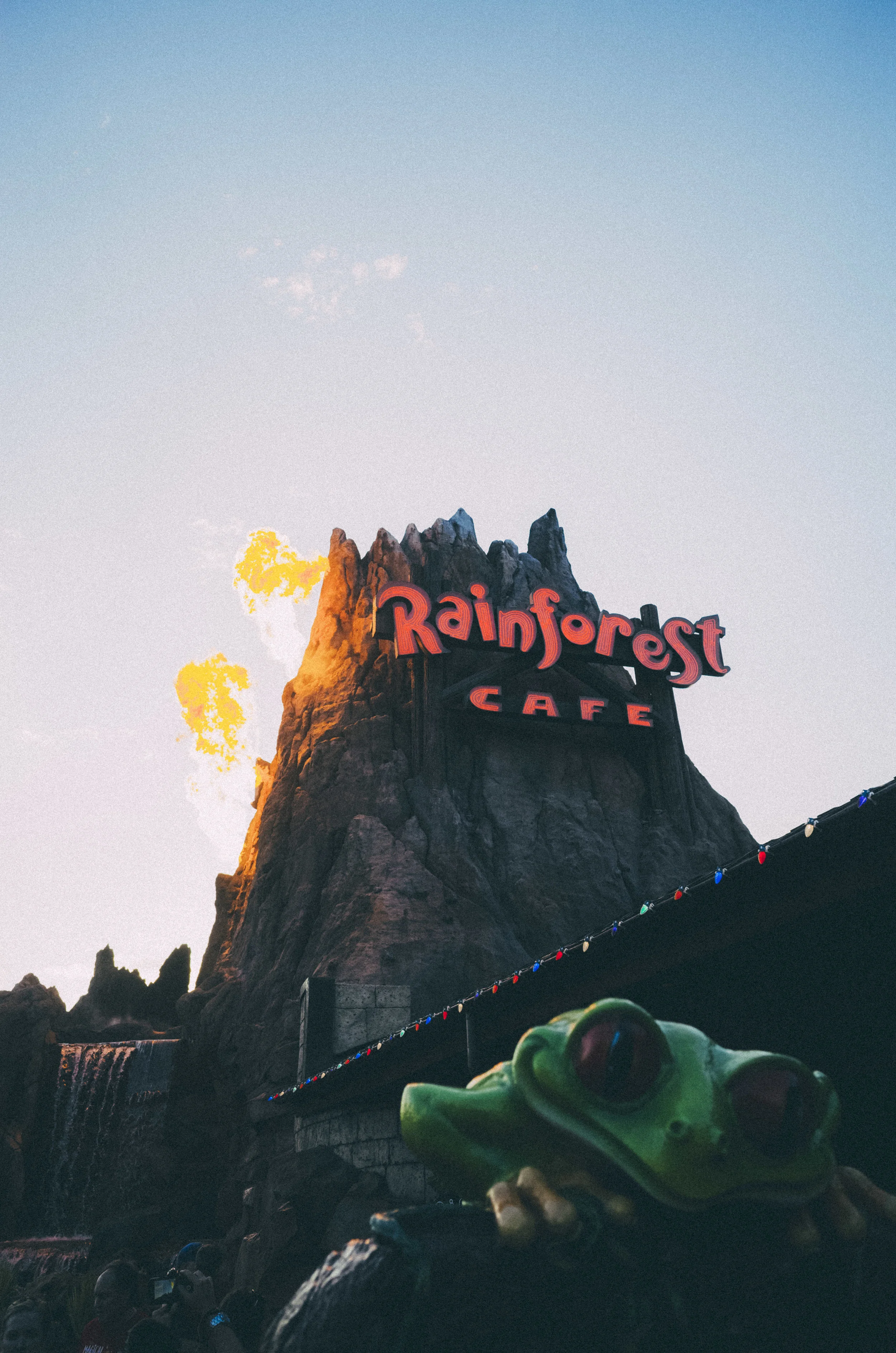 Birthday at Rainforest Café