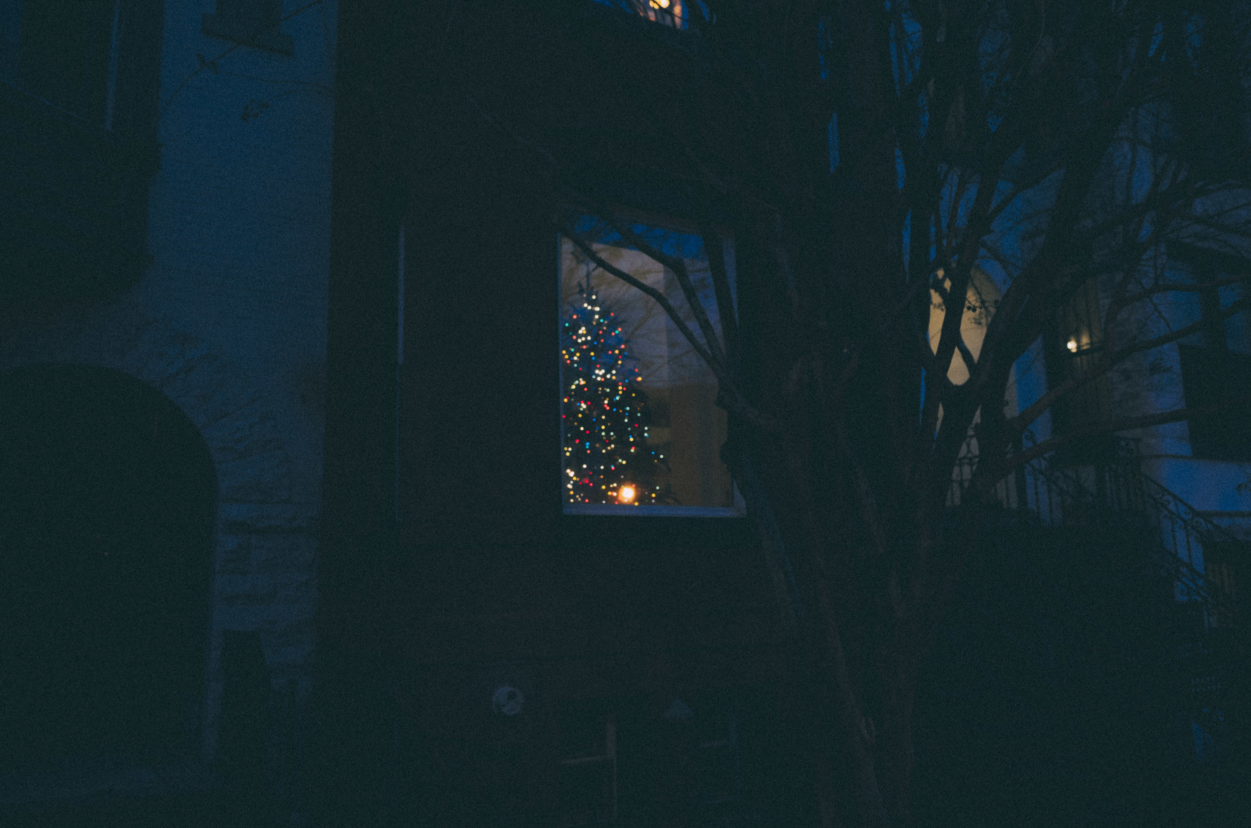 K0000030.jpg