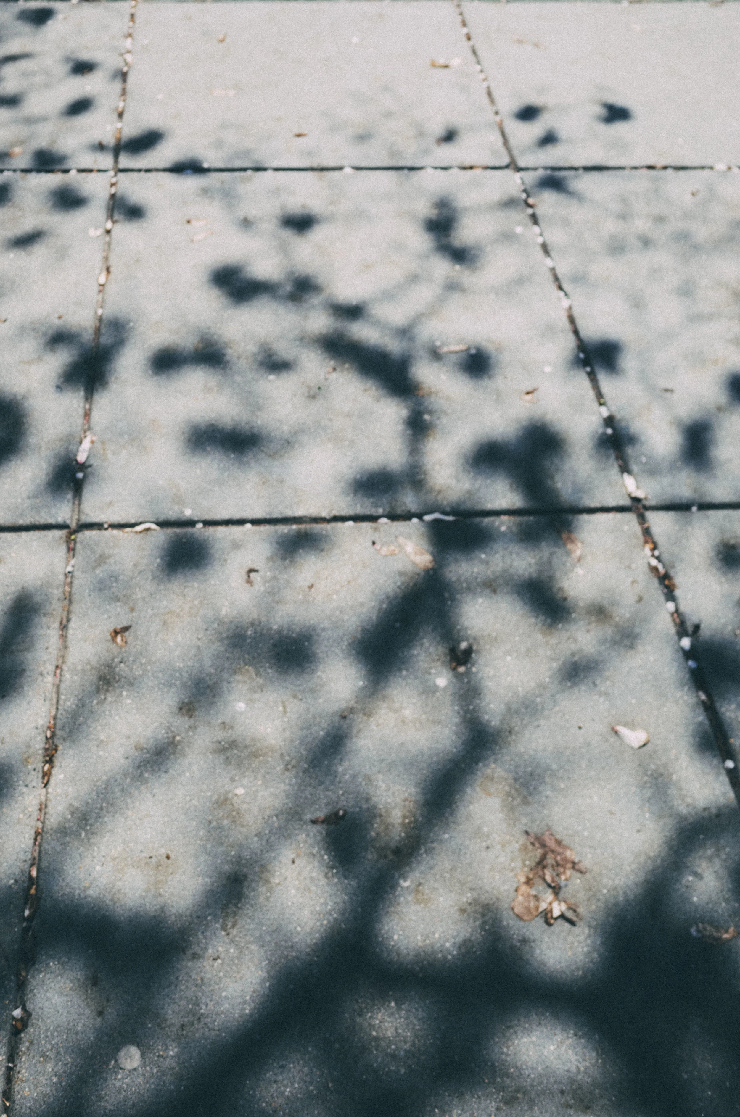K0000090.jpg