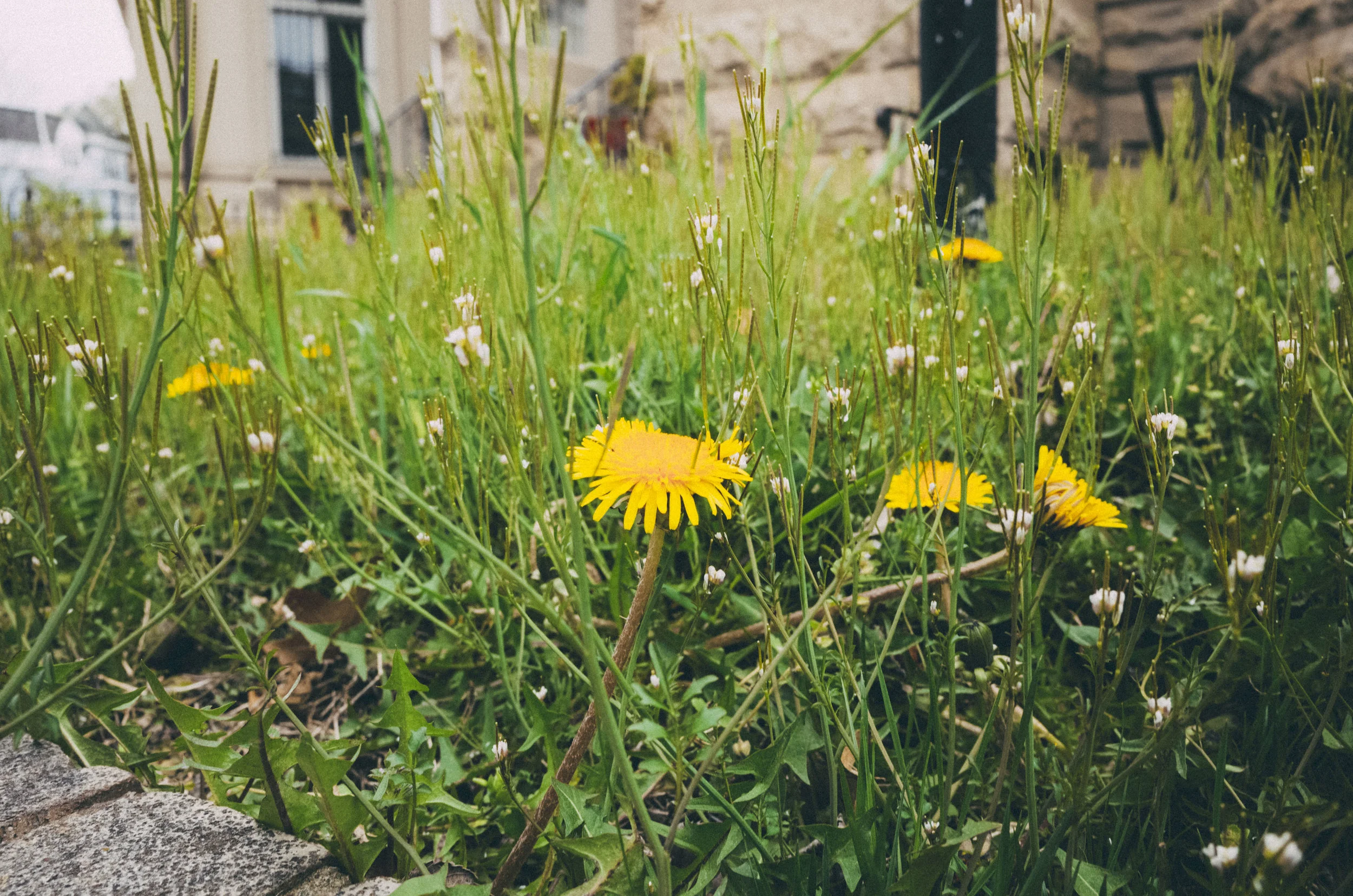 K0000227.jpg