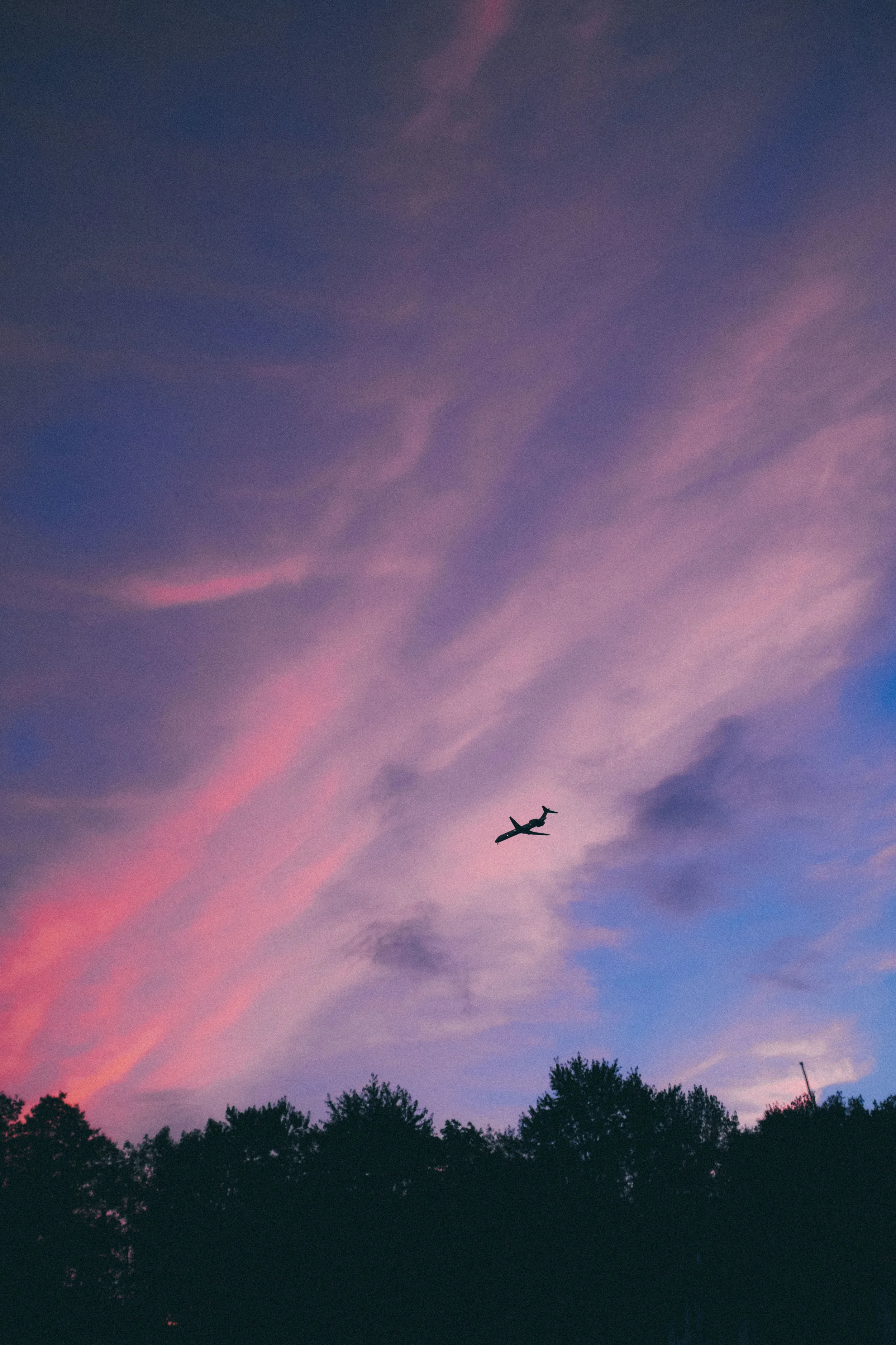DSCF1233.jpg