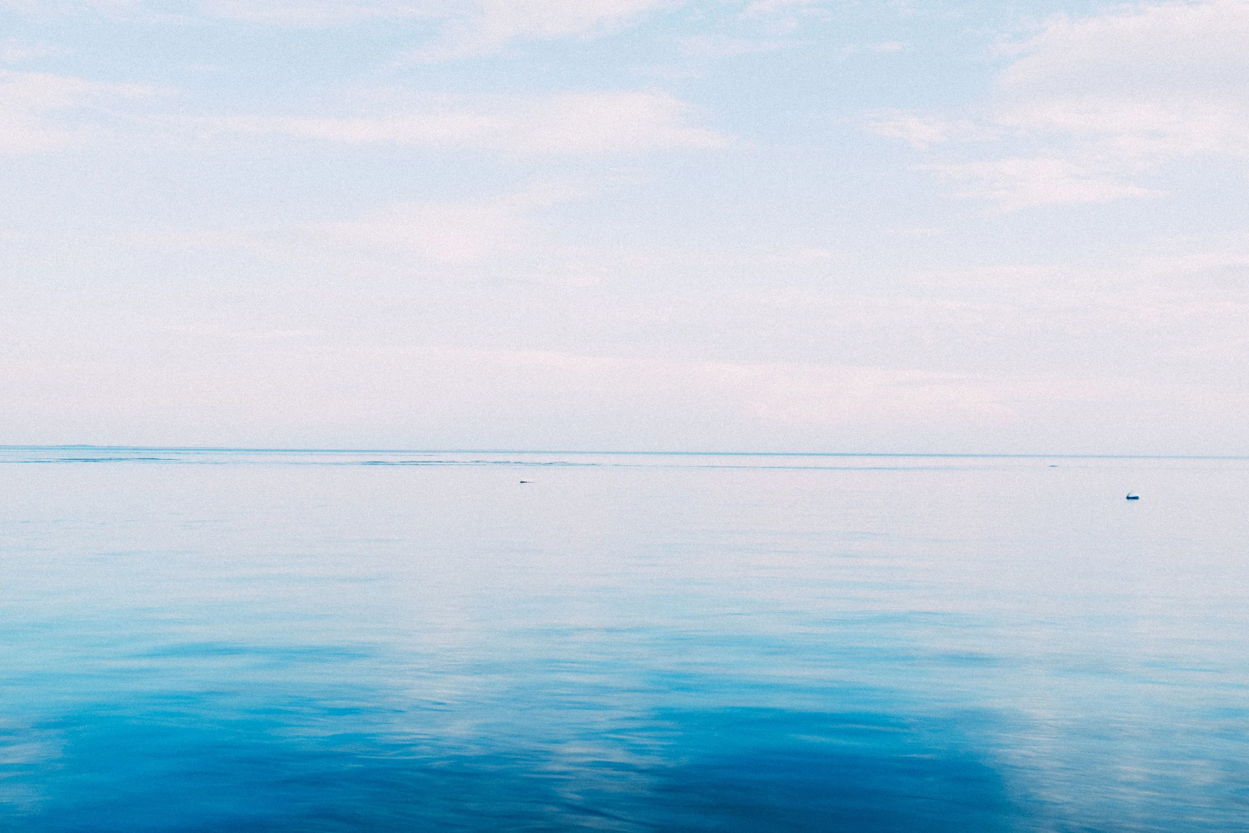 DSCF1519.jpg