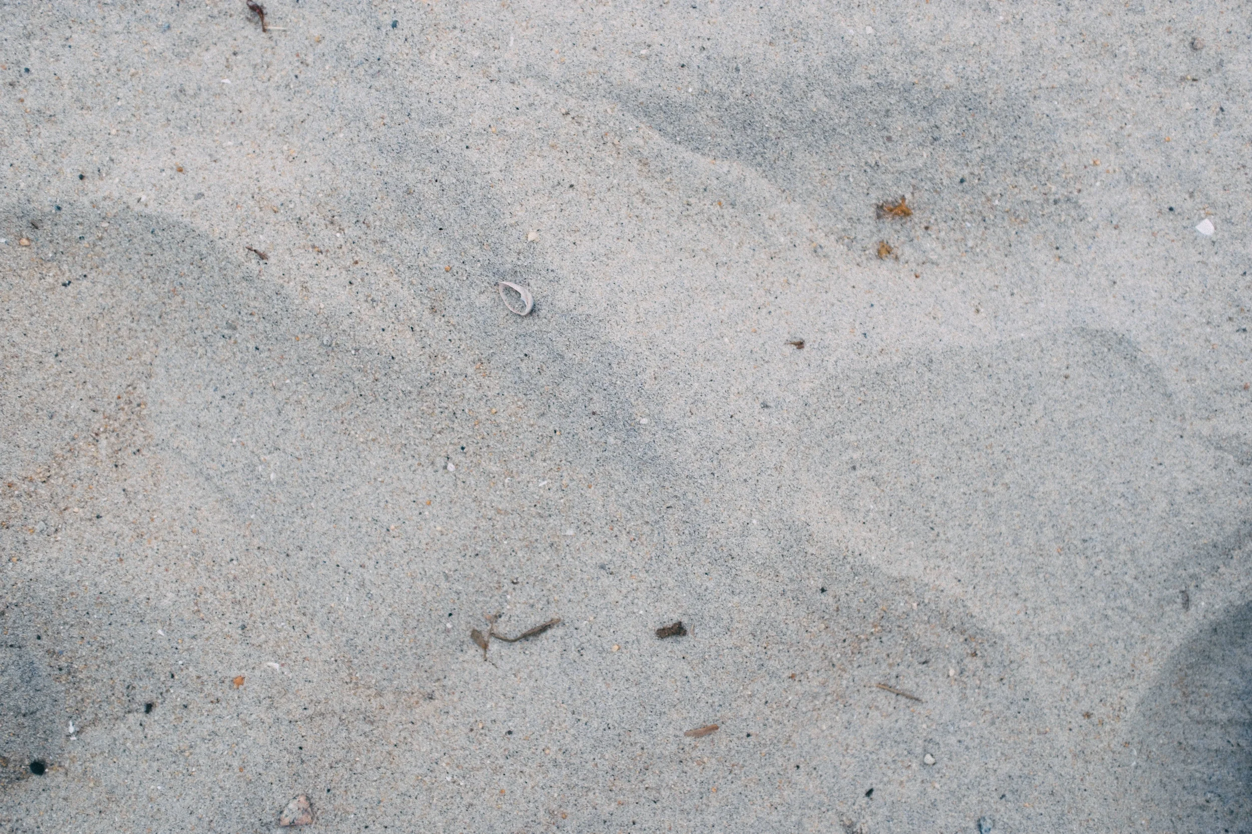 DSCF1573.jpg
