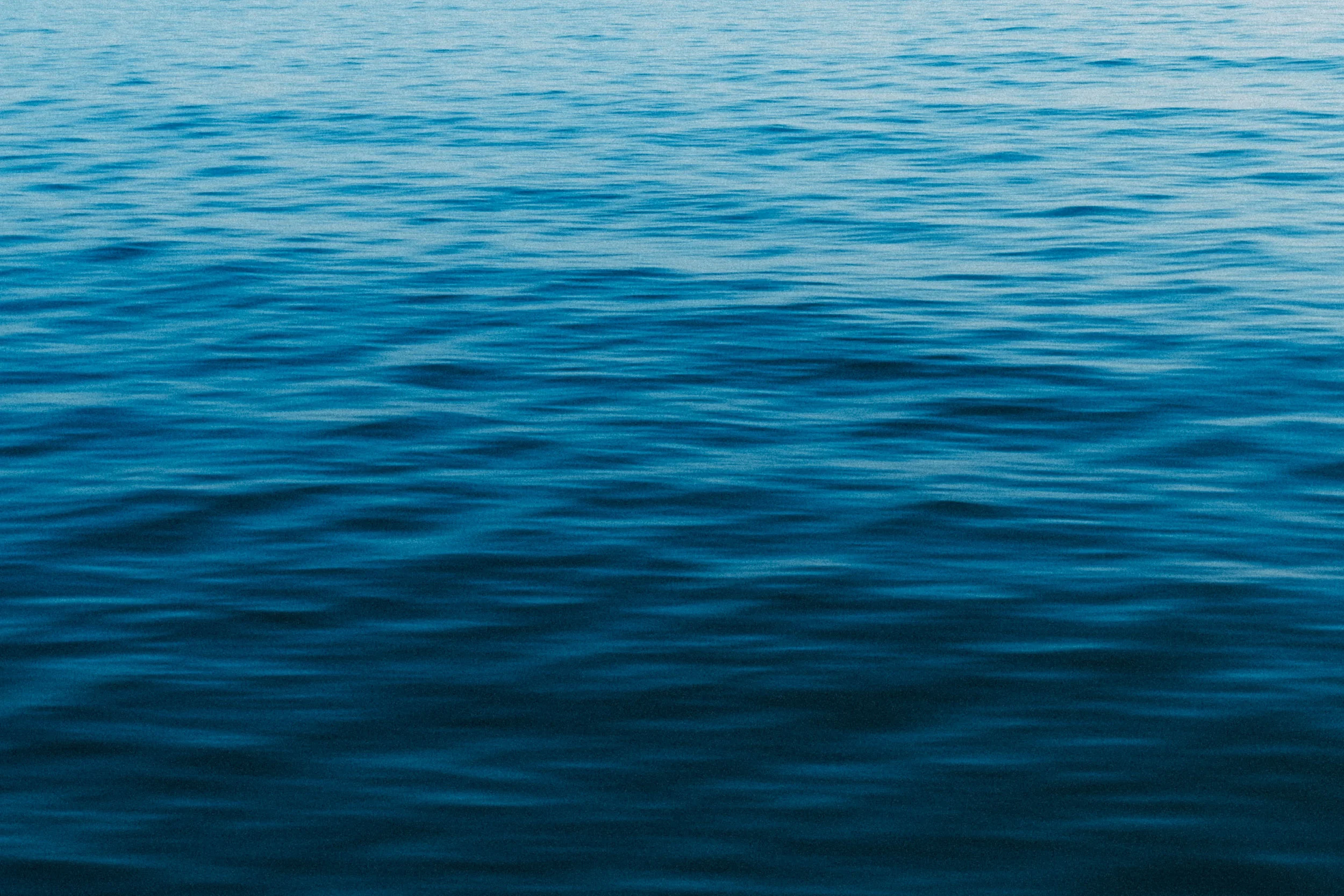 DSCF1738.jpg
