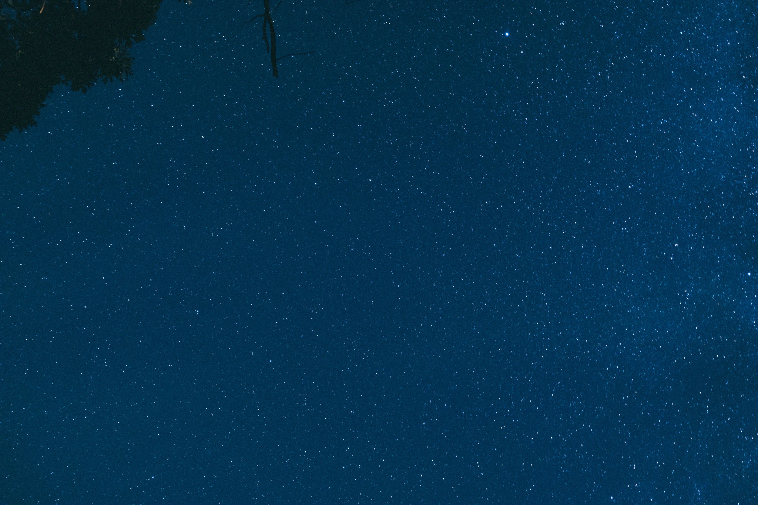 DSCF1781.jpg