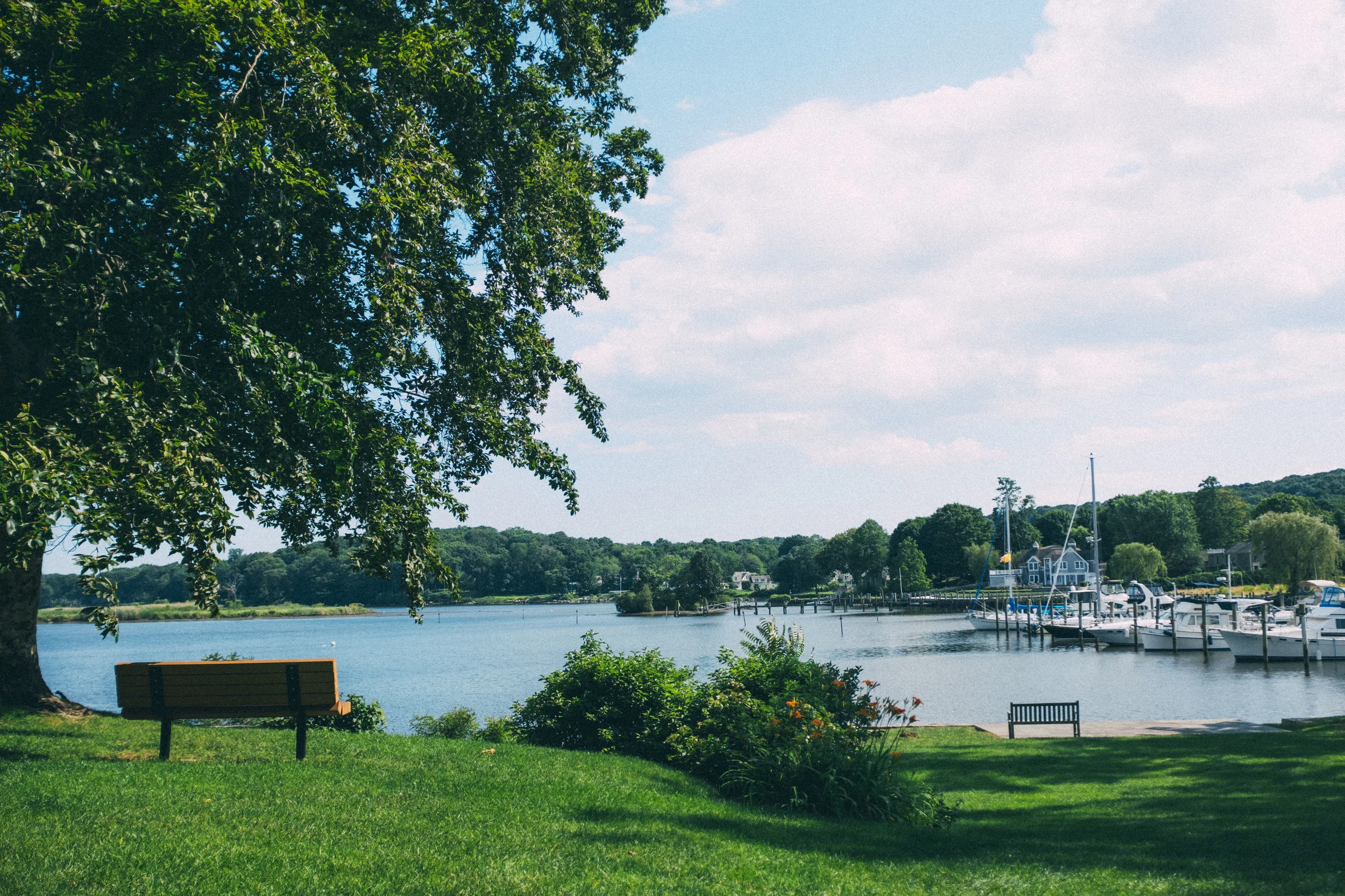 DSCF1411.jpg