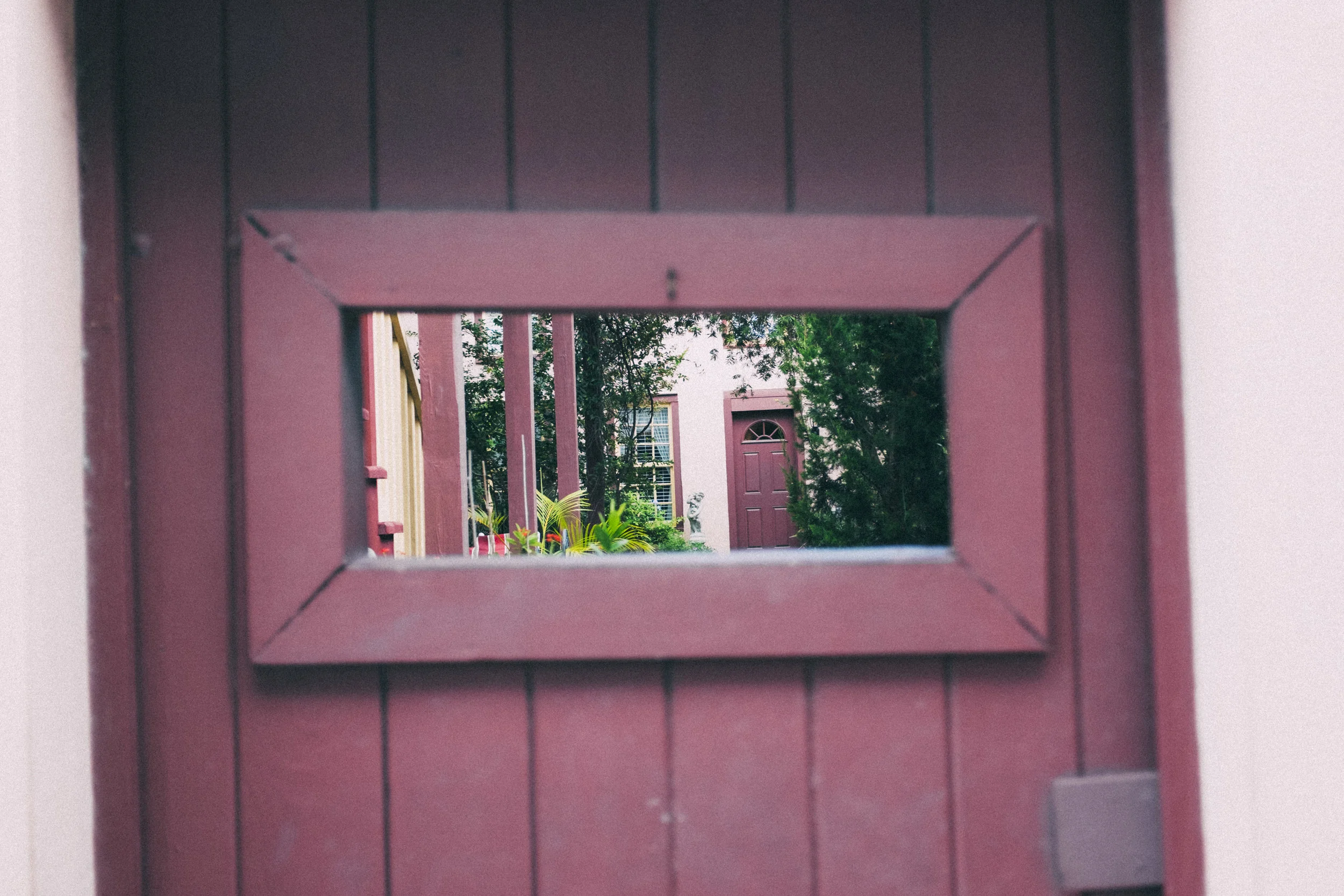 DSCF3114.jpg