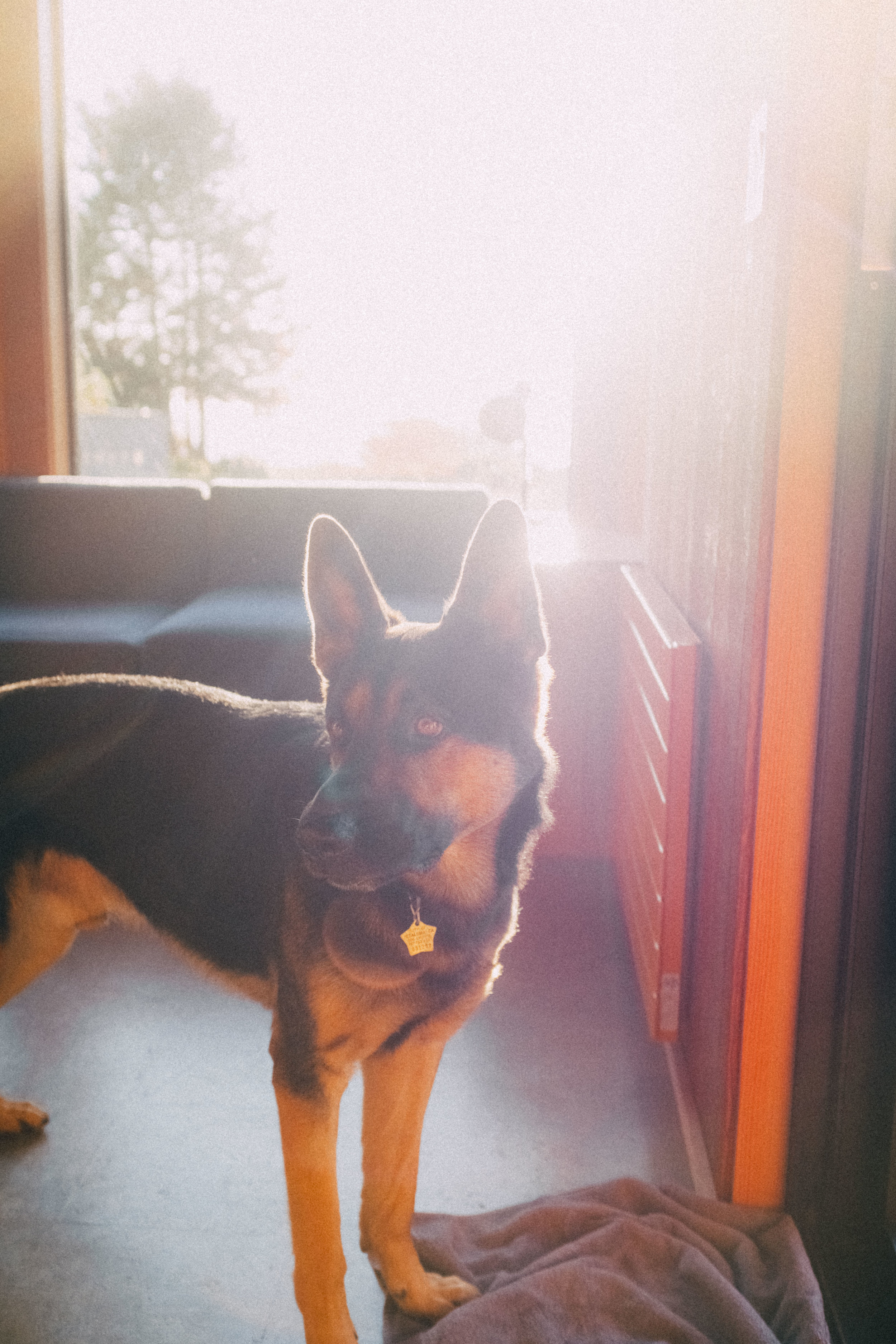 DSCF5092.jpg