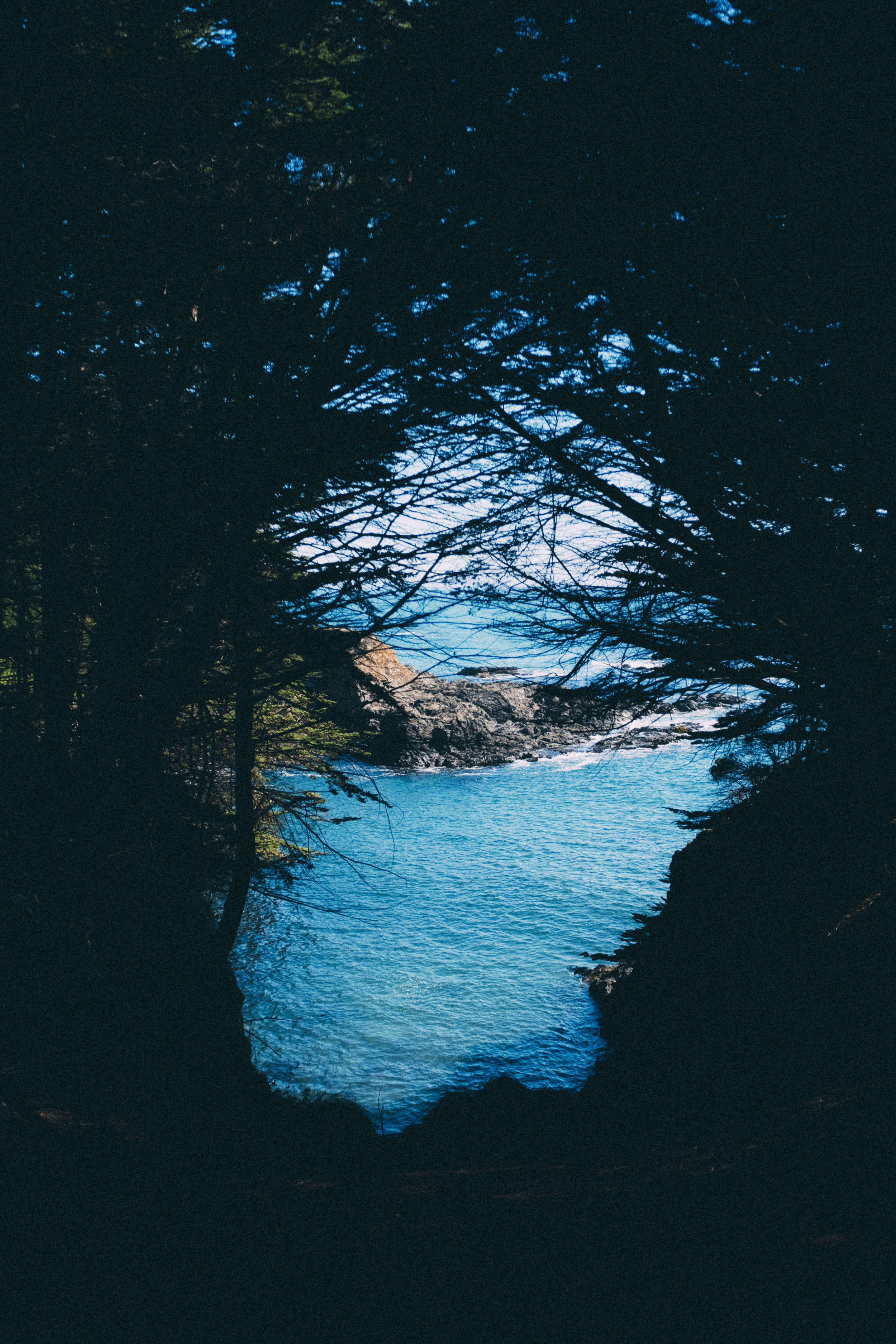 DSCF5255.jpg