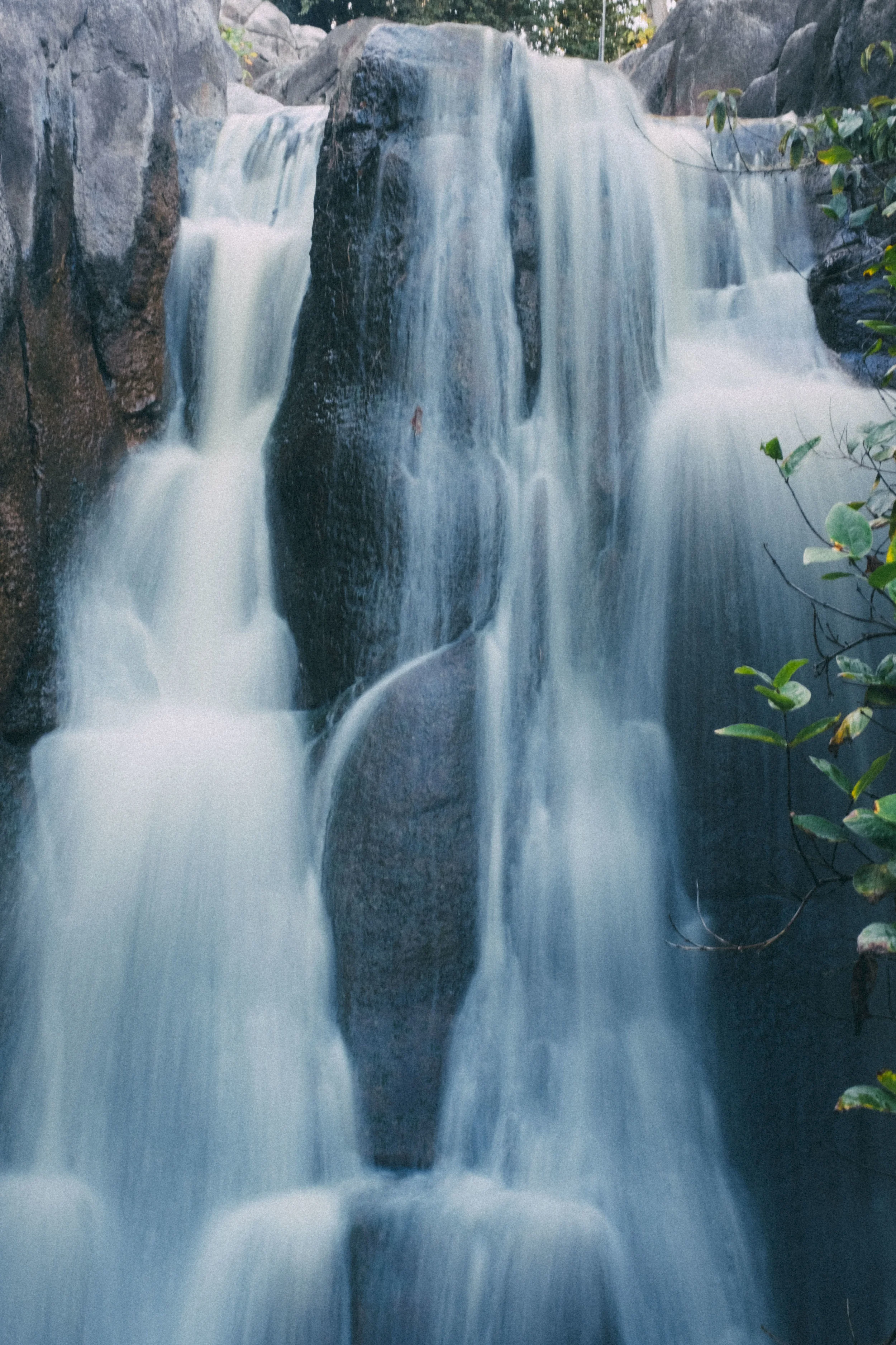 DSCF5397.jpg