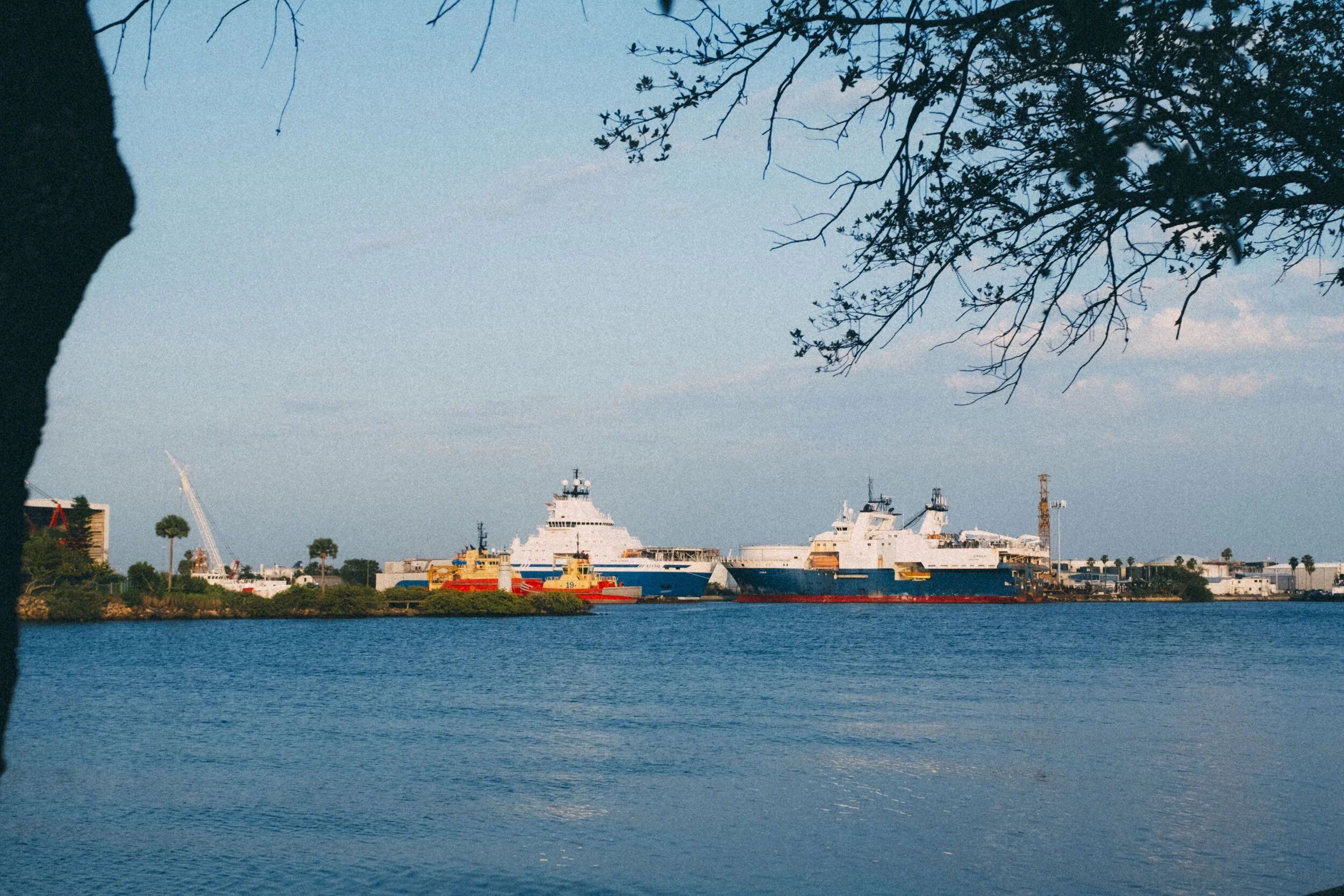 DSCF9289.jpg