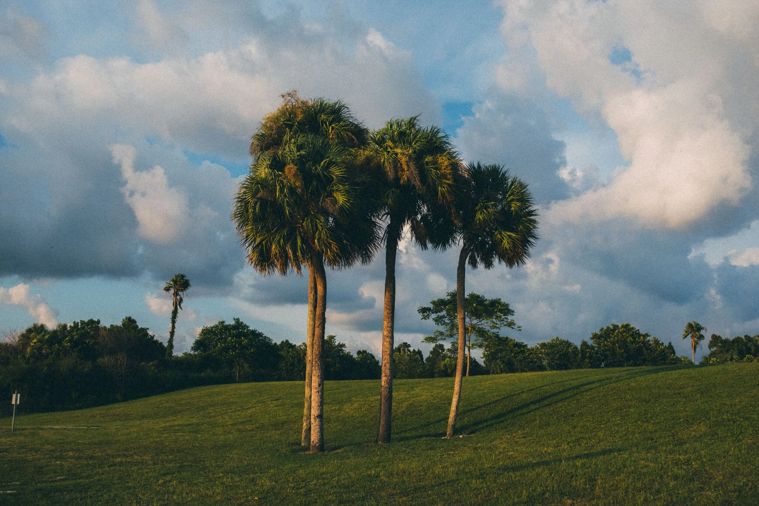 Picnic Island (revisited)