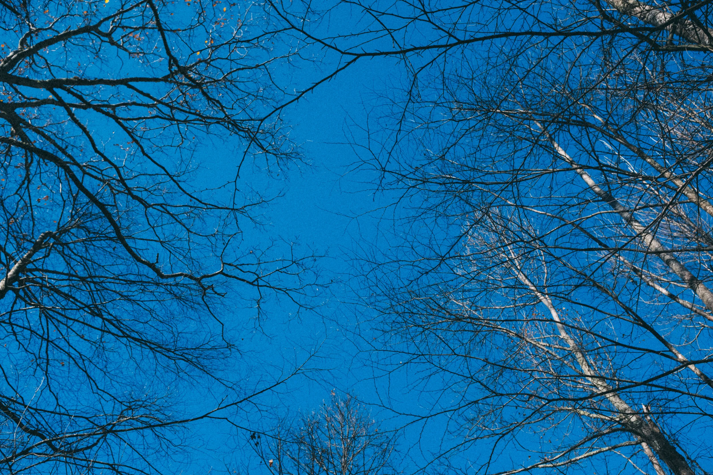 DSCF3179.jpg
