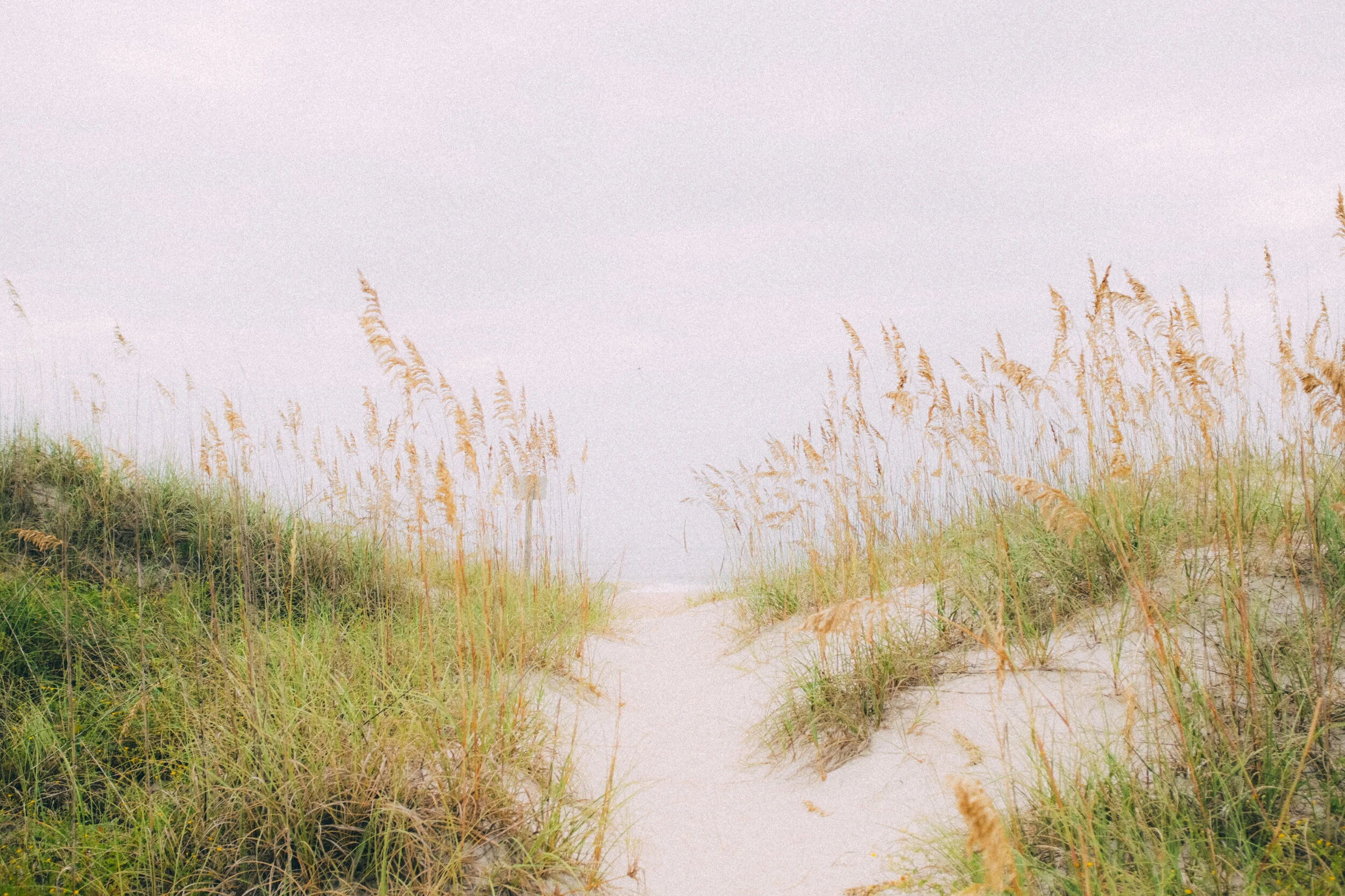 DSCF3646.jpg
