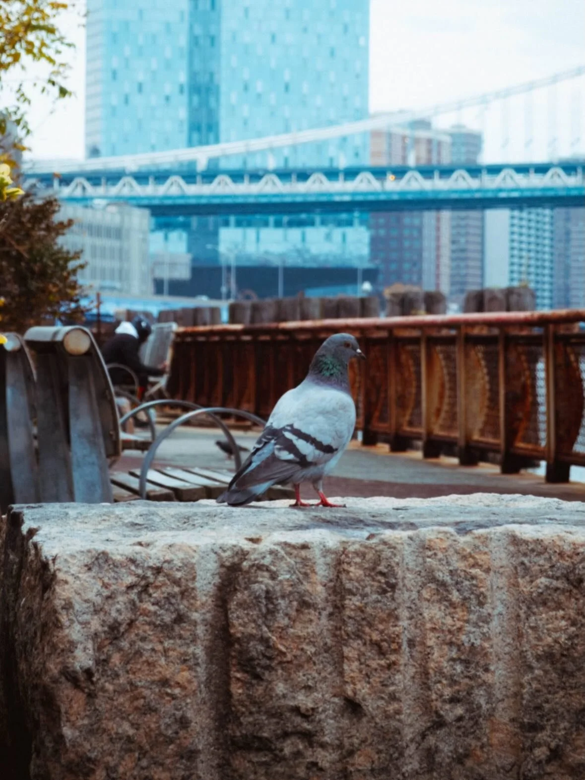 NYC Part Deux: these shots were only a month ago, and yet feel a great distance in time away. I&rsquo;m discovering free will little by little, this entire trip being a part of that. Old habits are hard to shake, but this might&rsquo;ve been the firs