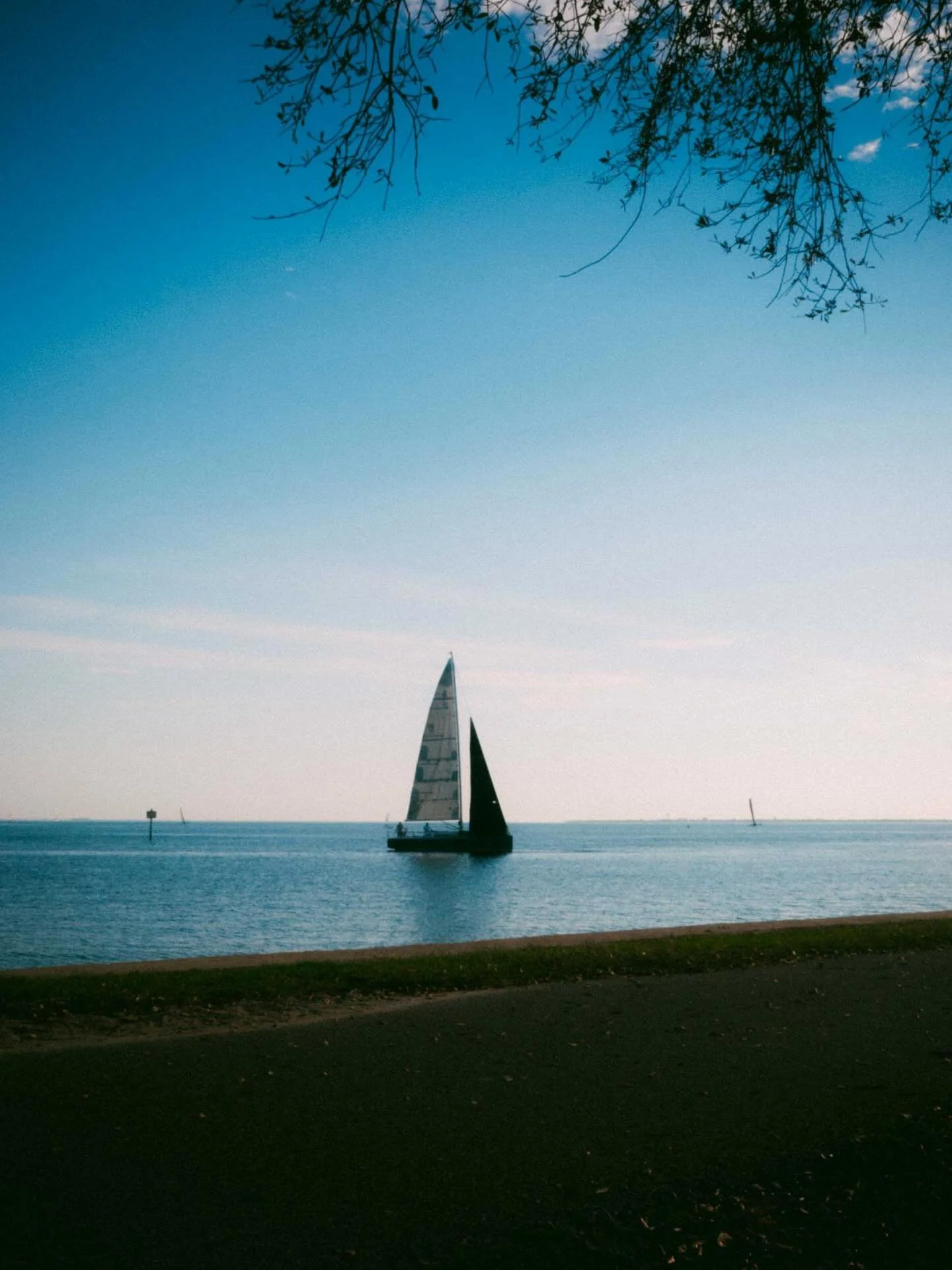 A little Sunday afternoon on the digi. Featuring a very thoughtful Xmas / birthday gift Alan Mann livery of the GT40 from @theemattv, a favorite spot on the island, and a new crow friend. Also, doesn&rsquo;t slide 12 look like the Corona ad that&rsqu