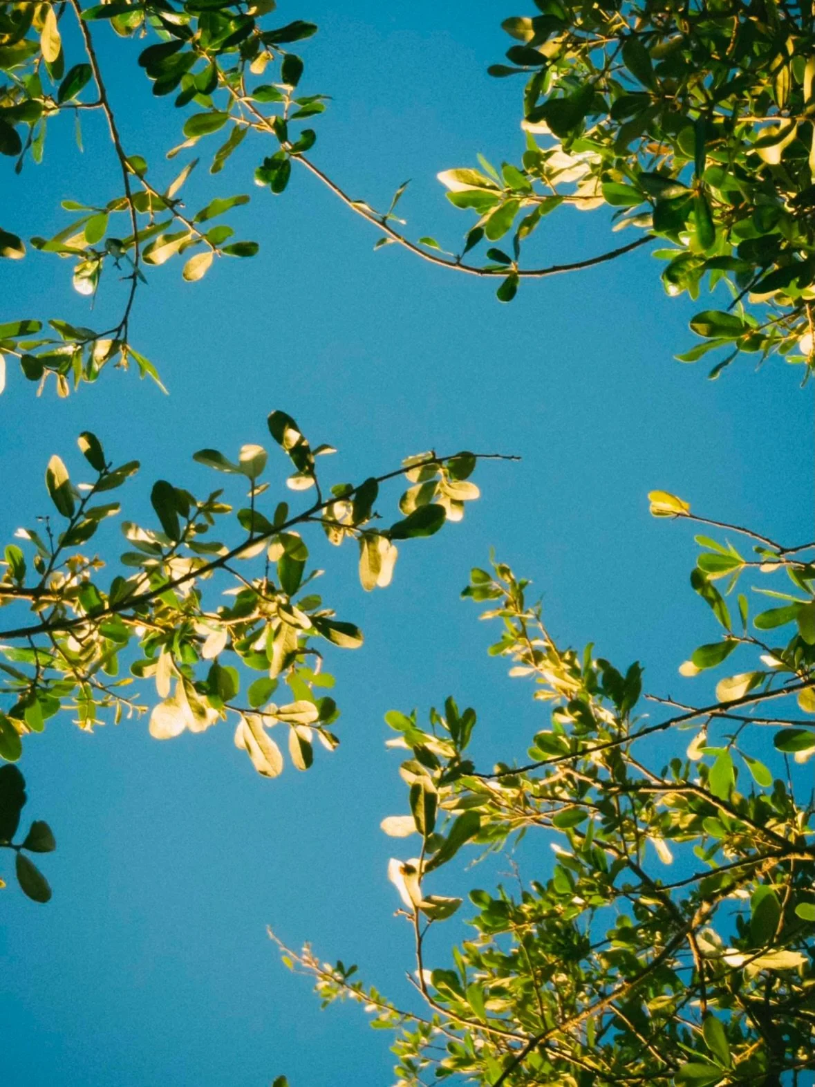 A few point and shoot shots that I want to look back at more.