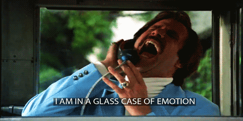 And he's 3/3 on the Will Ferrell gifs. Nailed it. Gif courtesy of confessions-of-a-barbie.tumblr.com. (Also, no, I did not actually visit that tumblr page.)