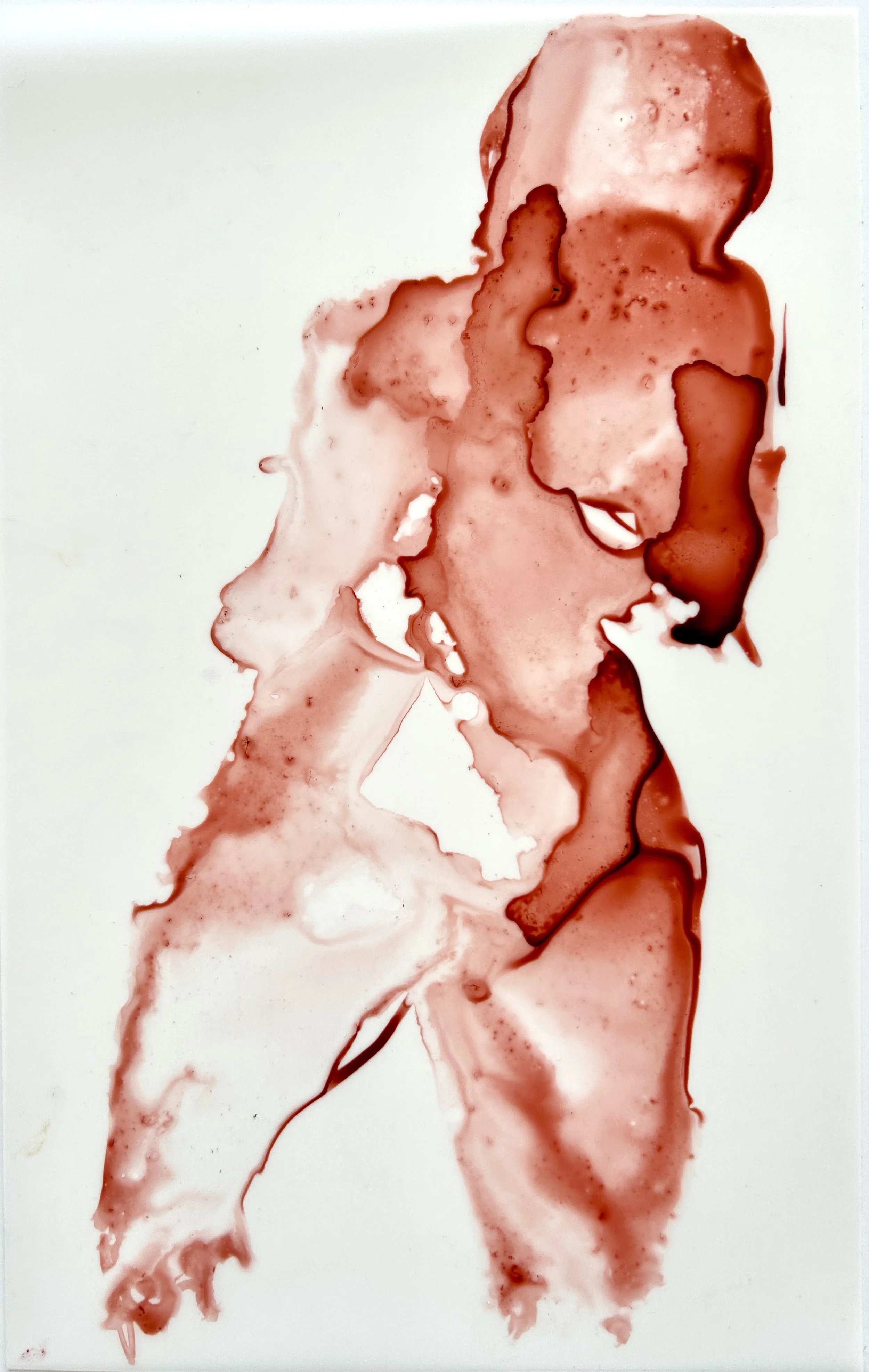FLESH sanguine3_11x7.jpg