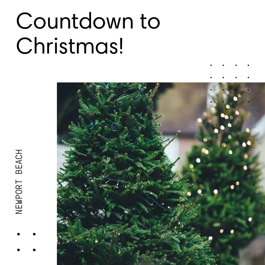 It's only 20 days away!Where do you get your Christmas Tree in Newport Beach? 🎄#HomesbyDkCowles #dkfindshomes