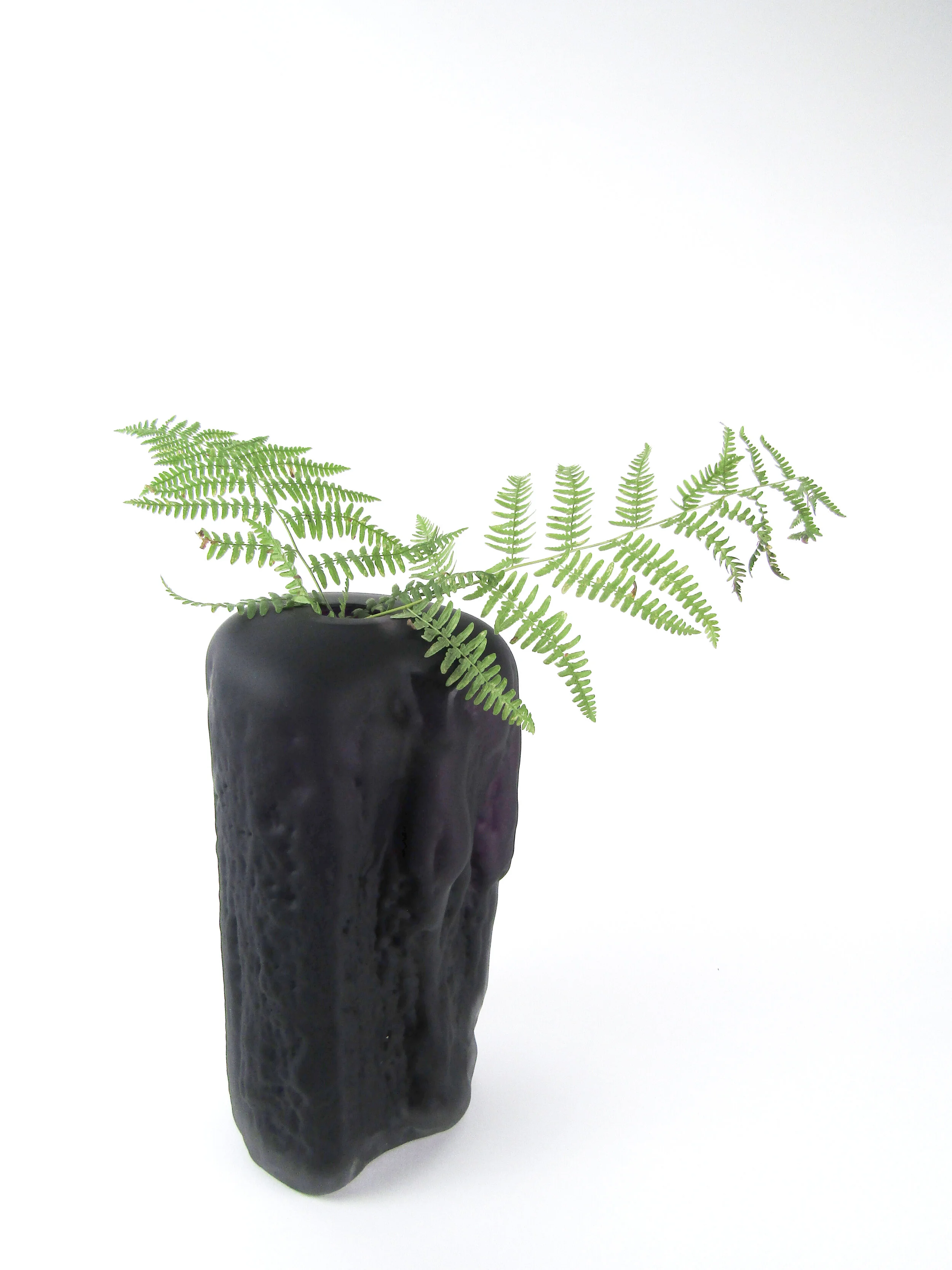 log-vase-matte-black_fern_esquestudio.jpg