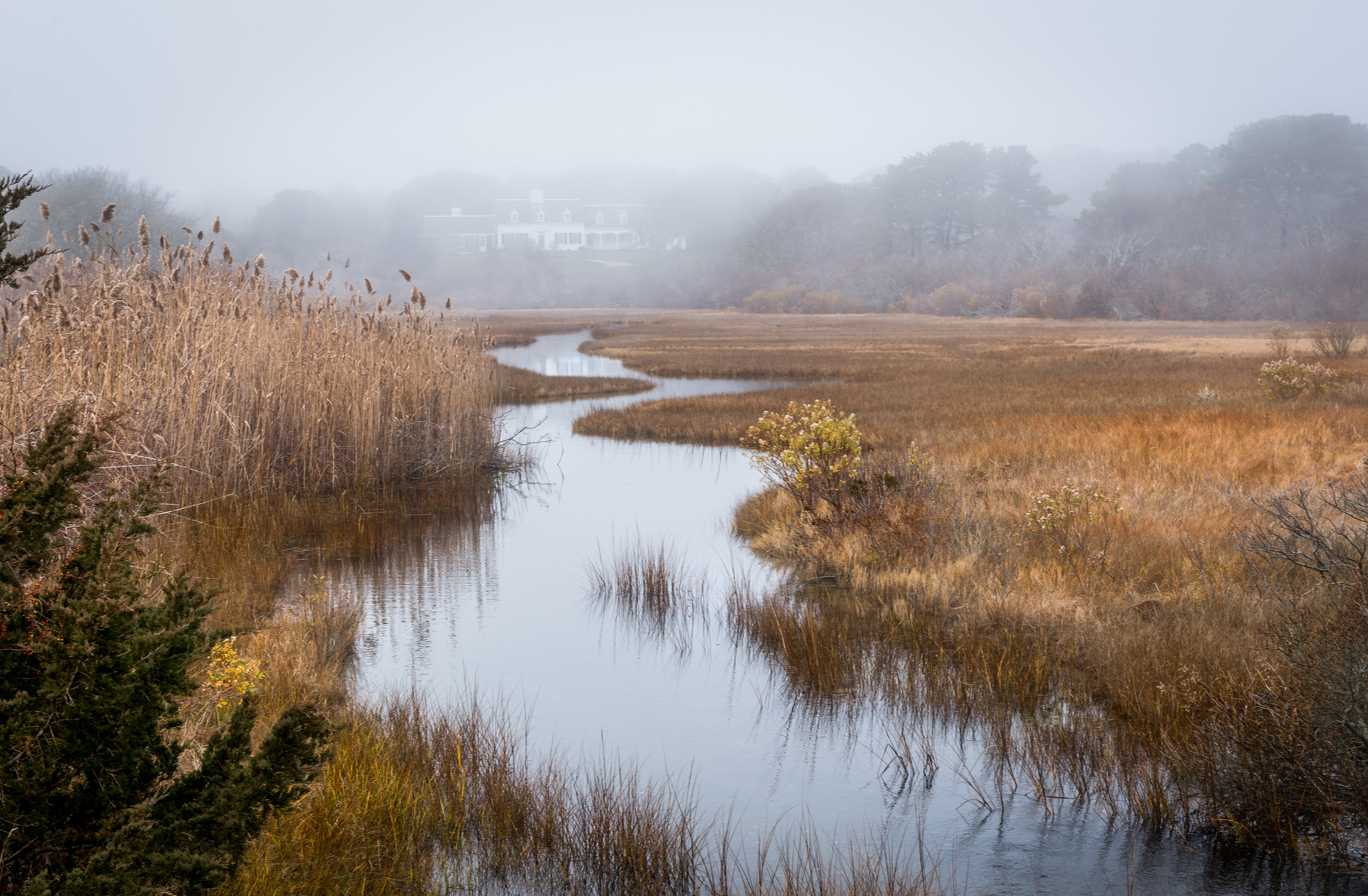 Stage Harbor Fog
