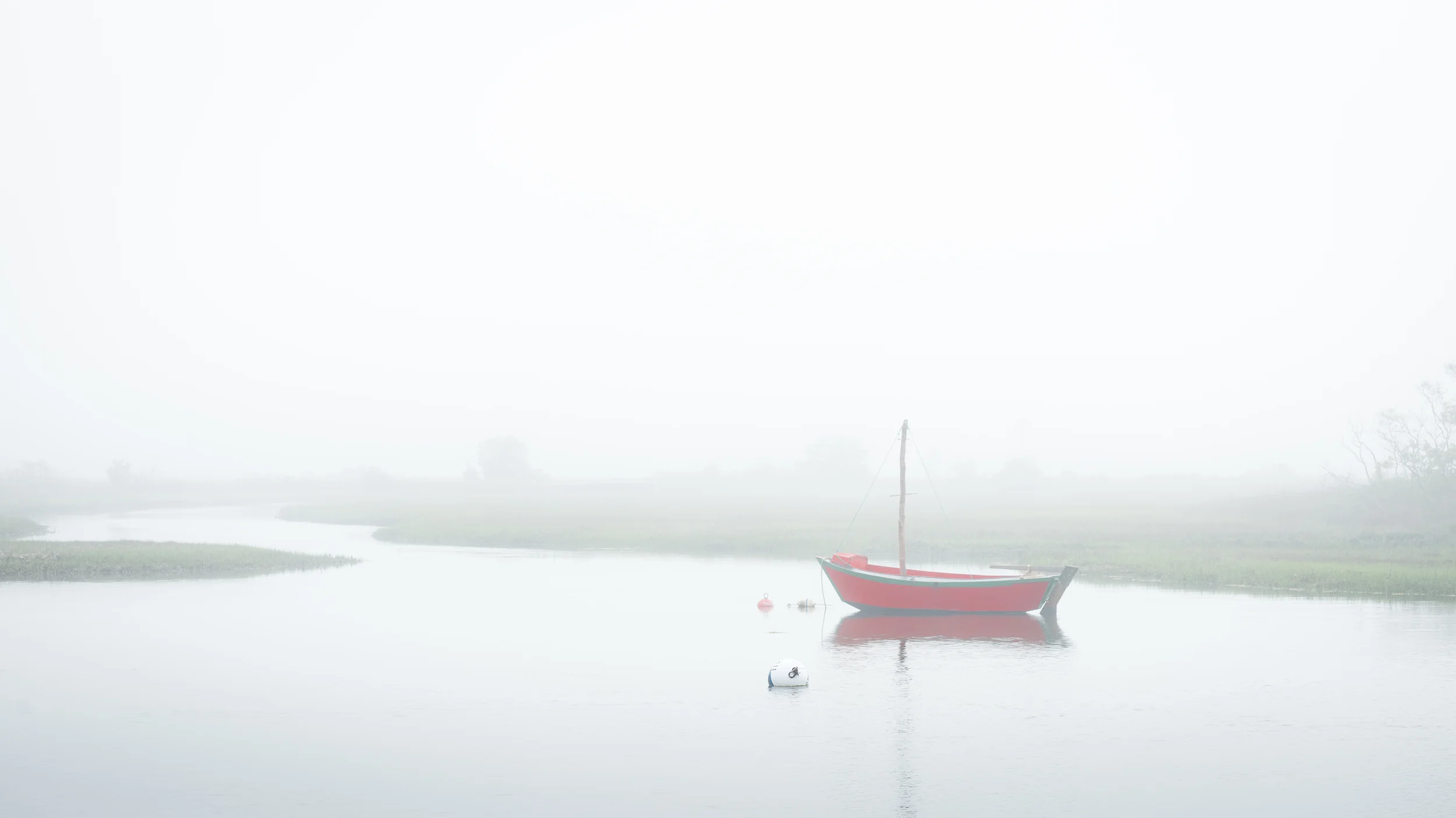 Cloaked in Fog