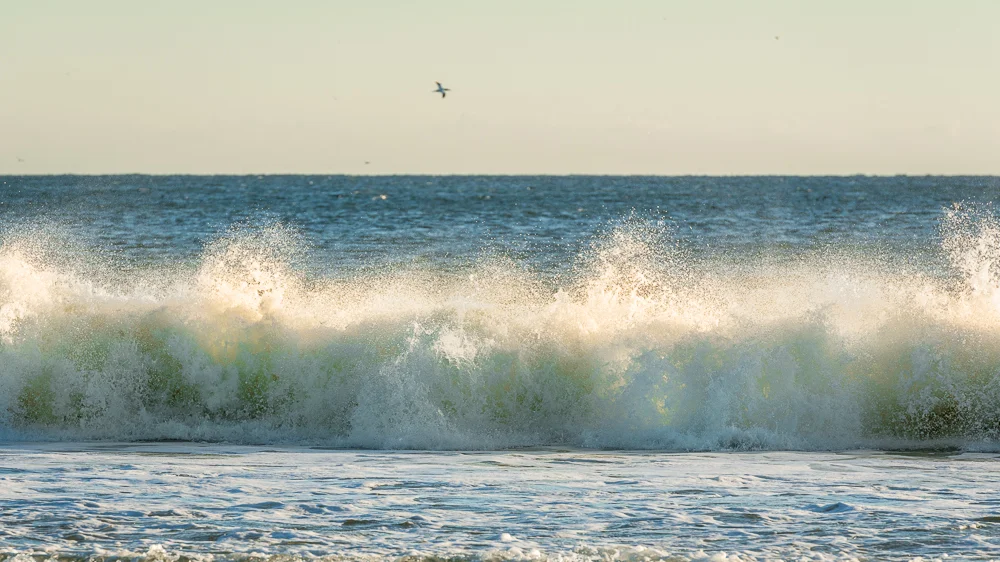 Nauset Surf Explodes