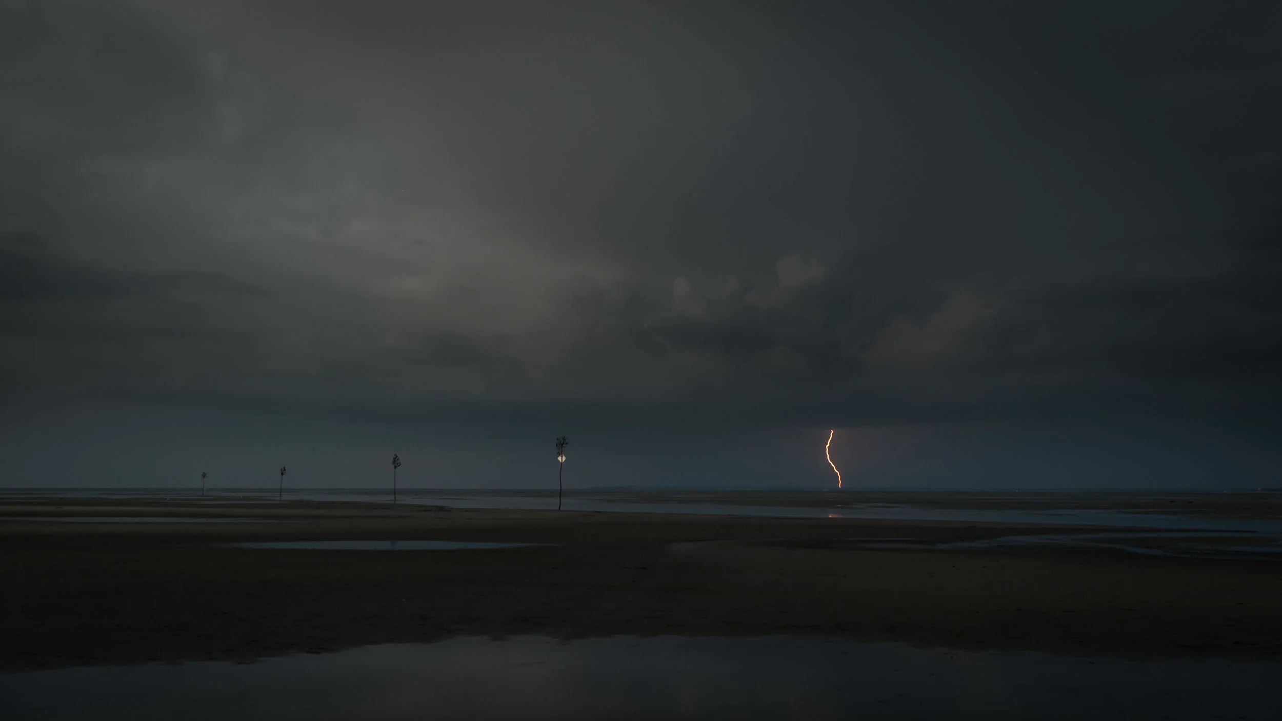 Clam Treet Lightning