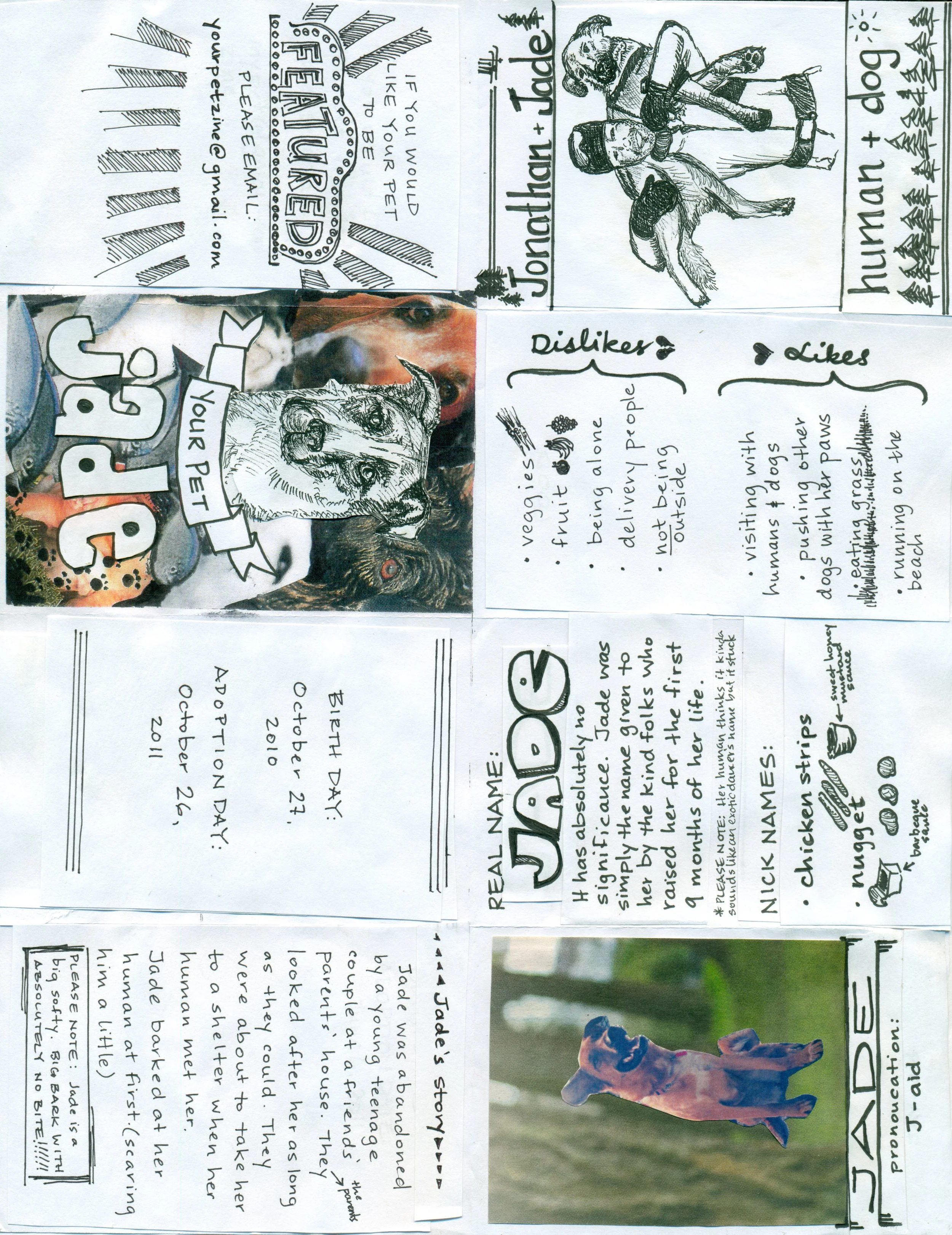 Pet Zine - Jade.jpeg
