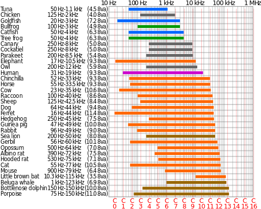 Source: http://bit.ly/hearing-frequencies