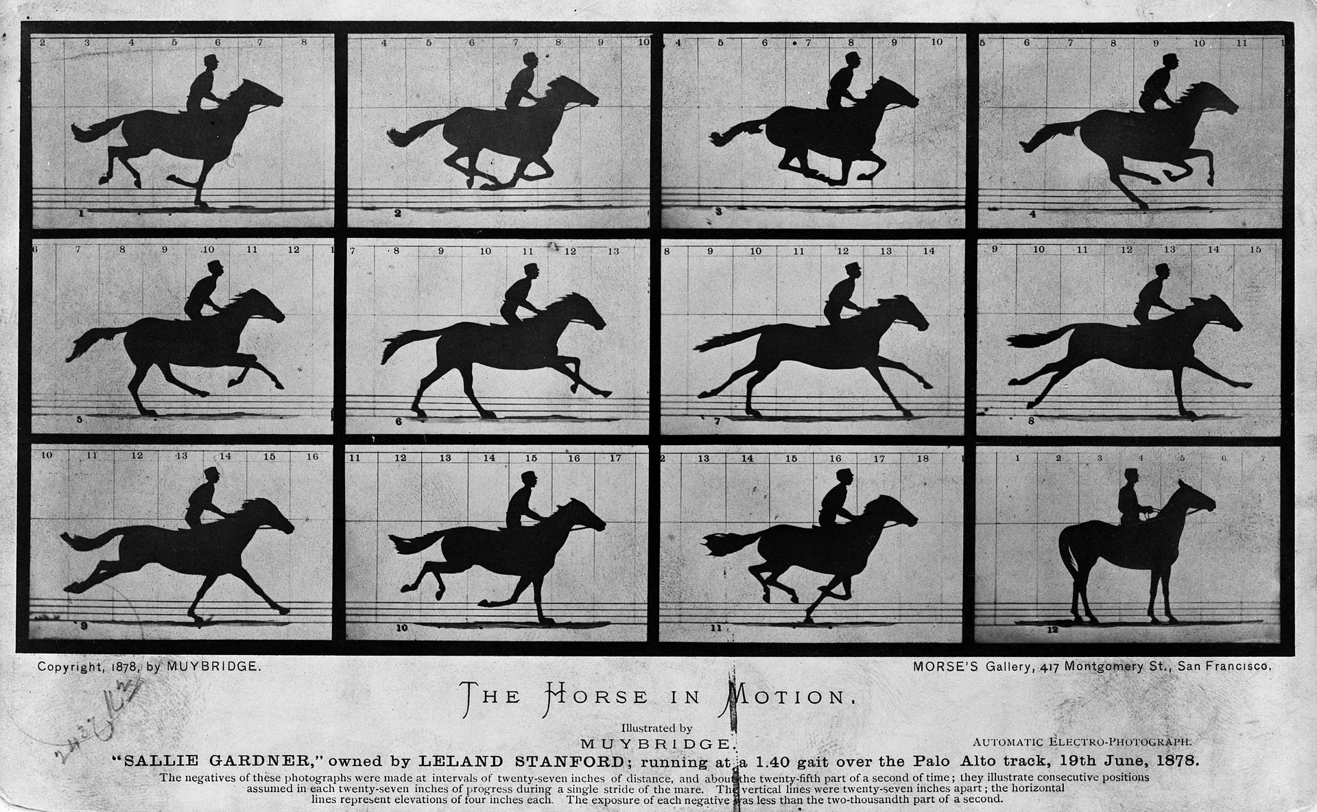 The_Horse_in_Motion_high_res.jpg